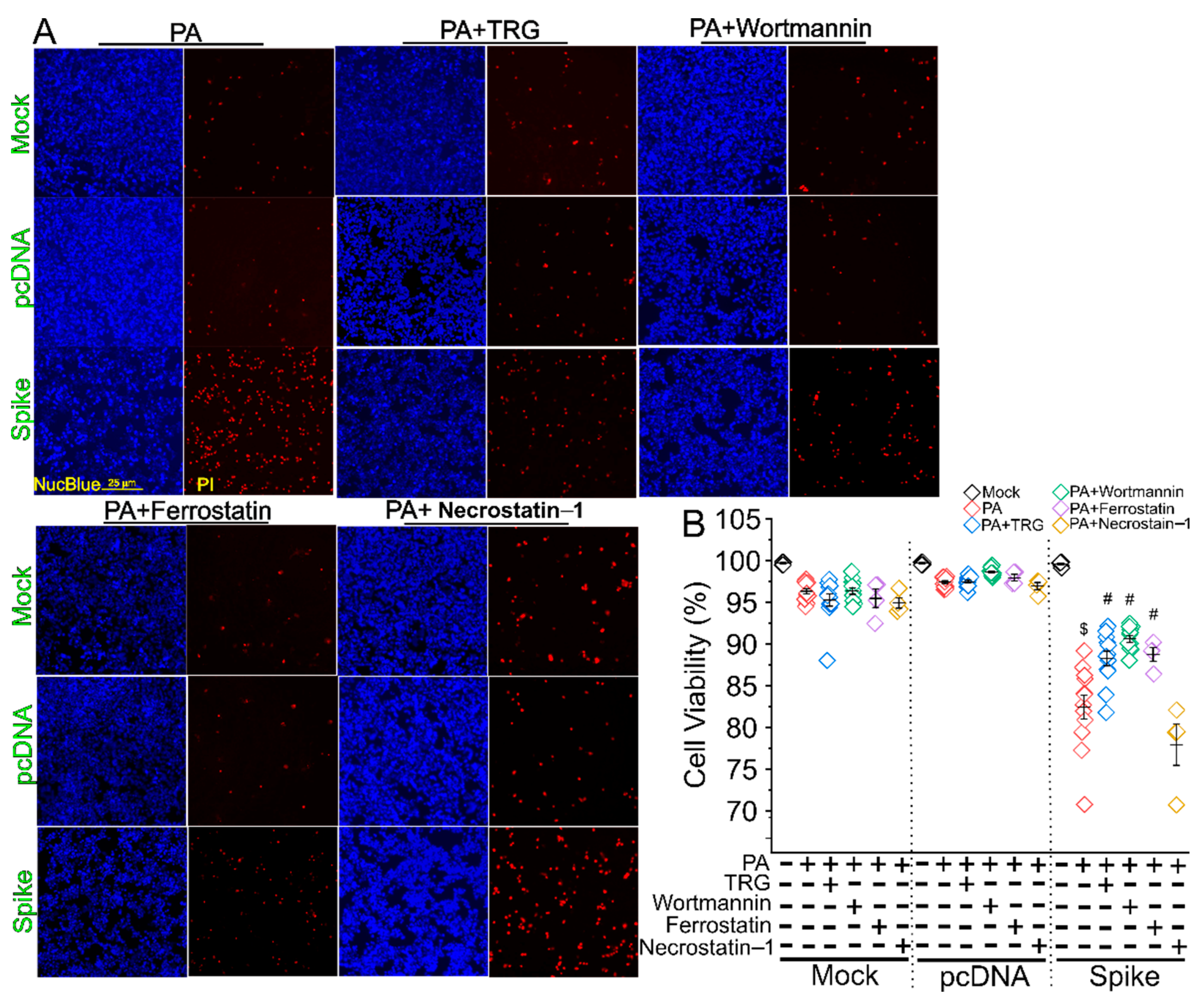 Cells 11 01916 g005 550