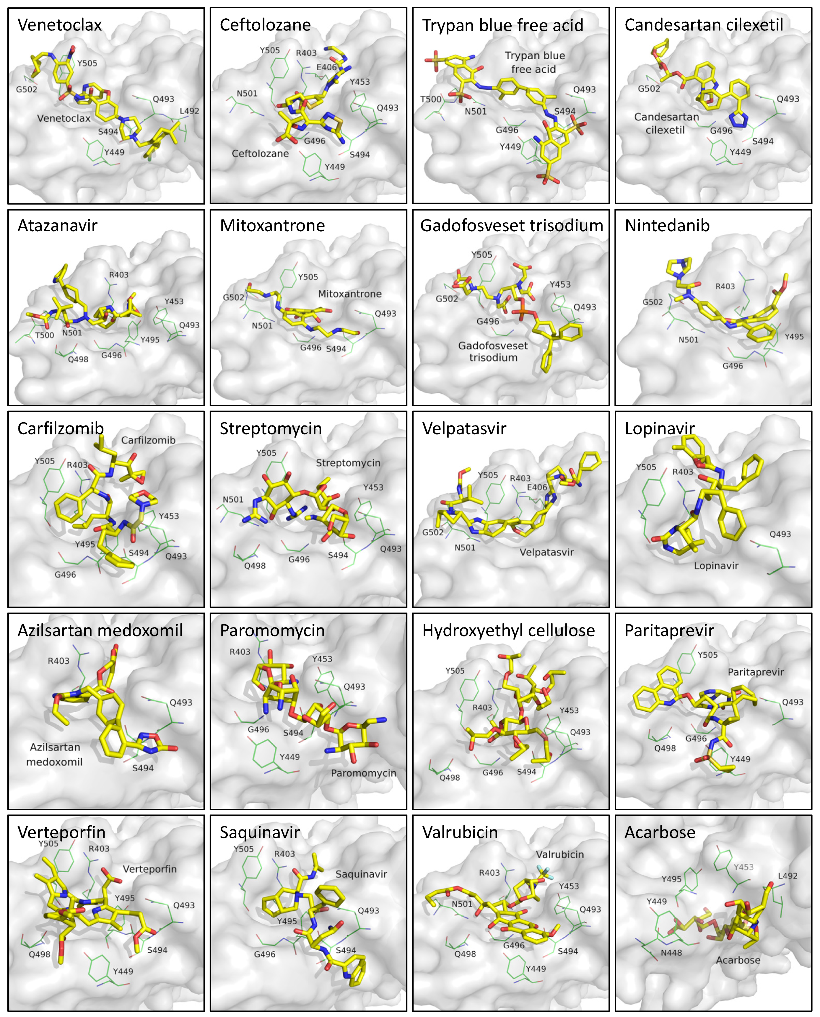 Cells 11 01924 g003 550