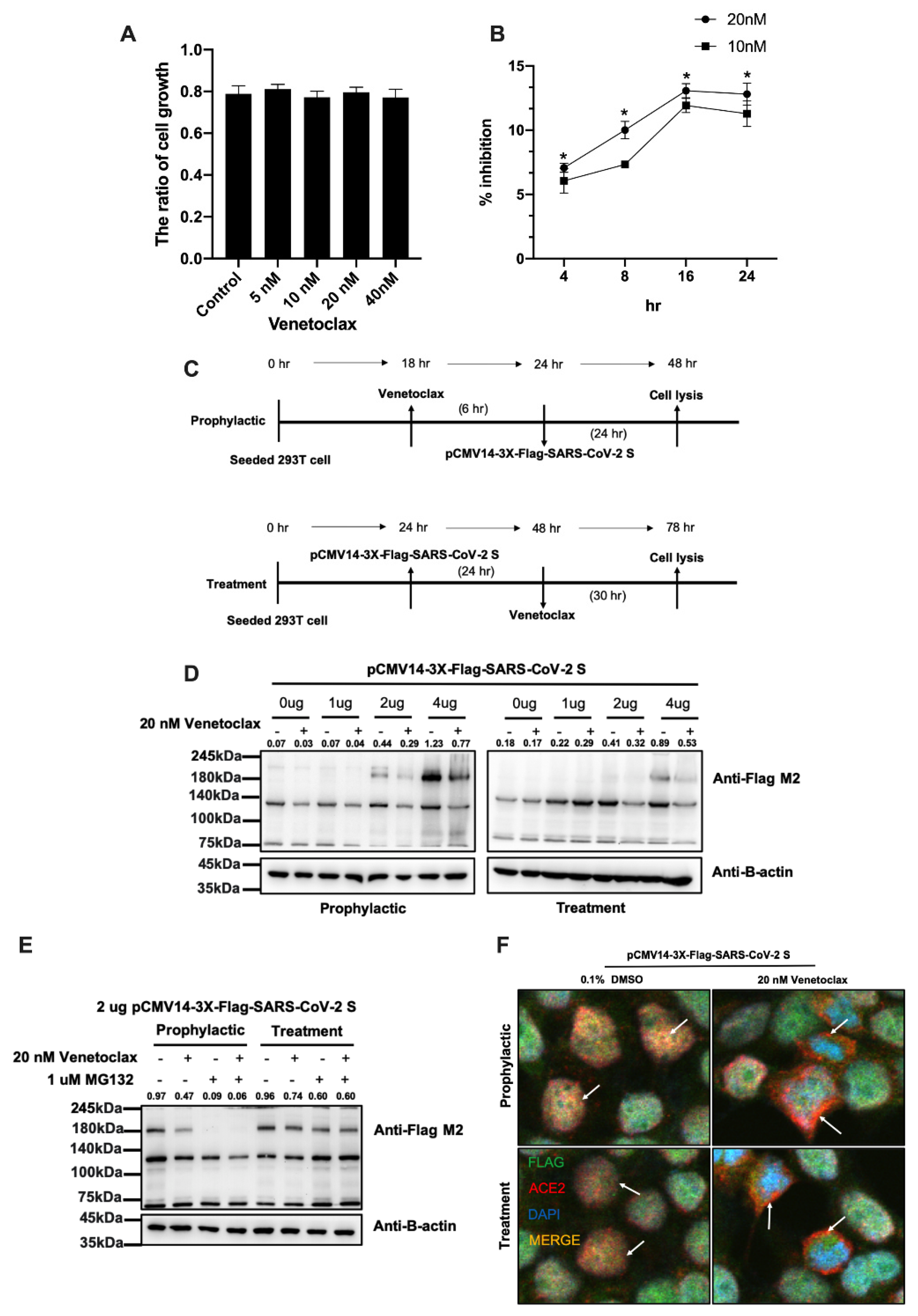 Cells 11 01924 g005 550