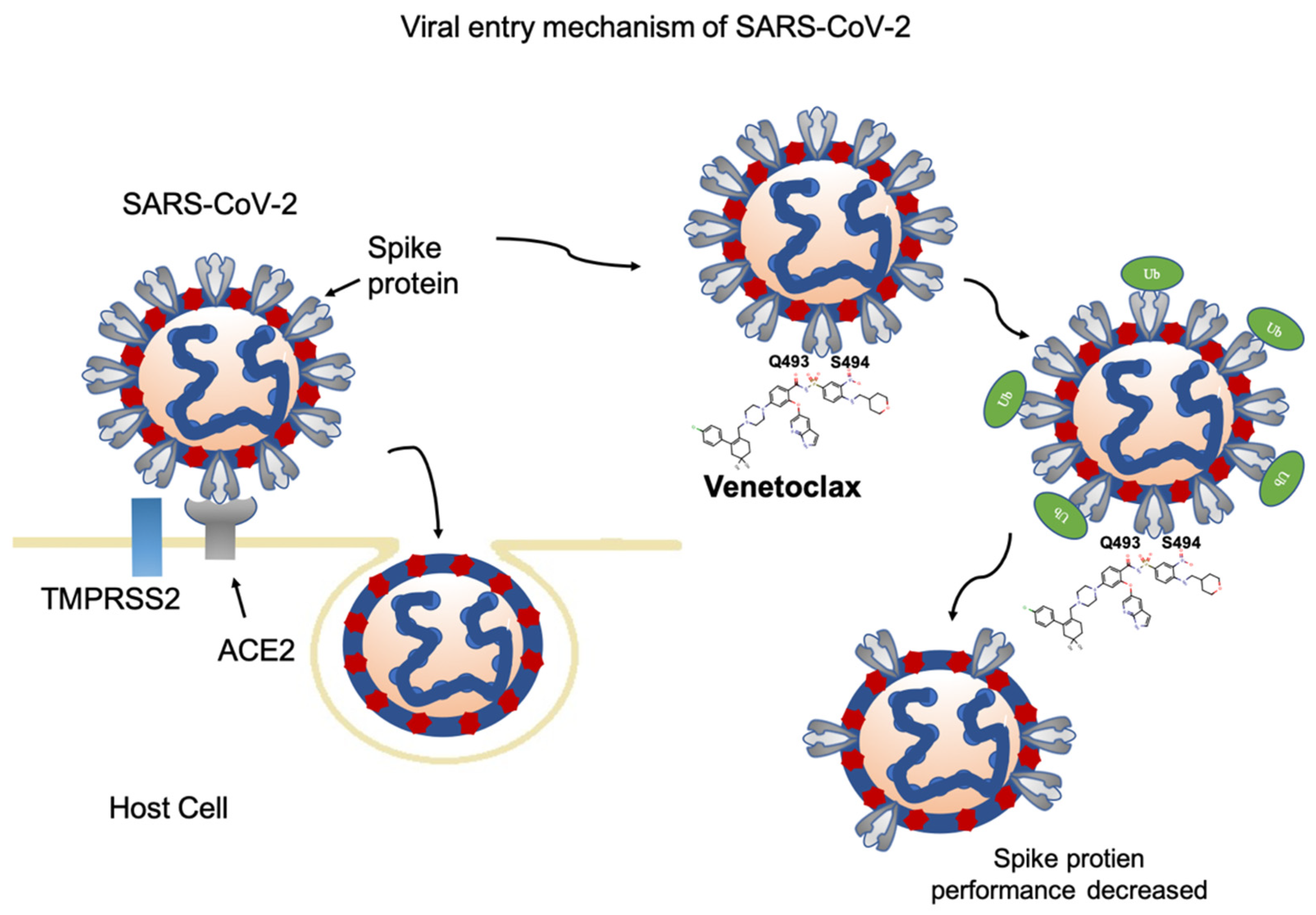 Cells 11 01924 g007 550