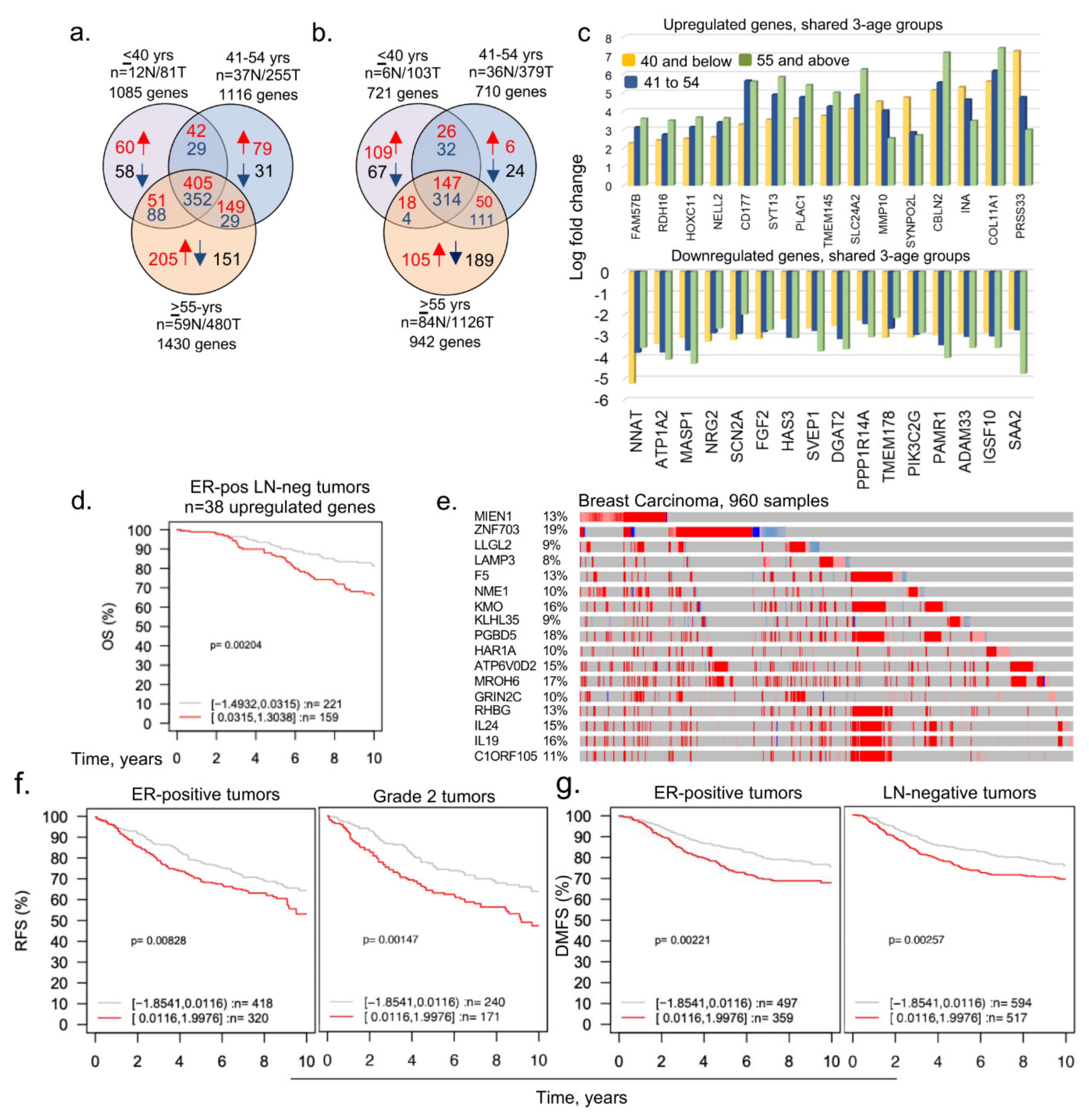 Cells 11 01927 g001 Cells 11 01927 g001