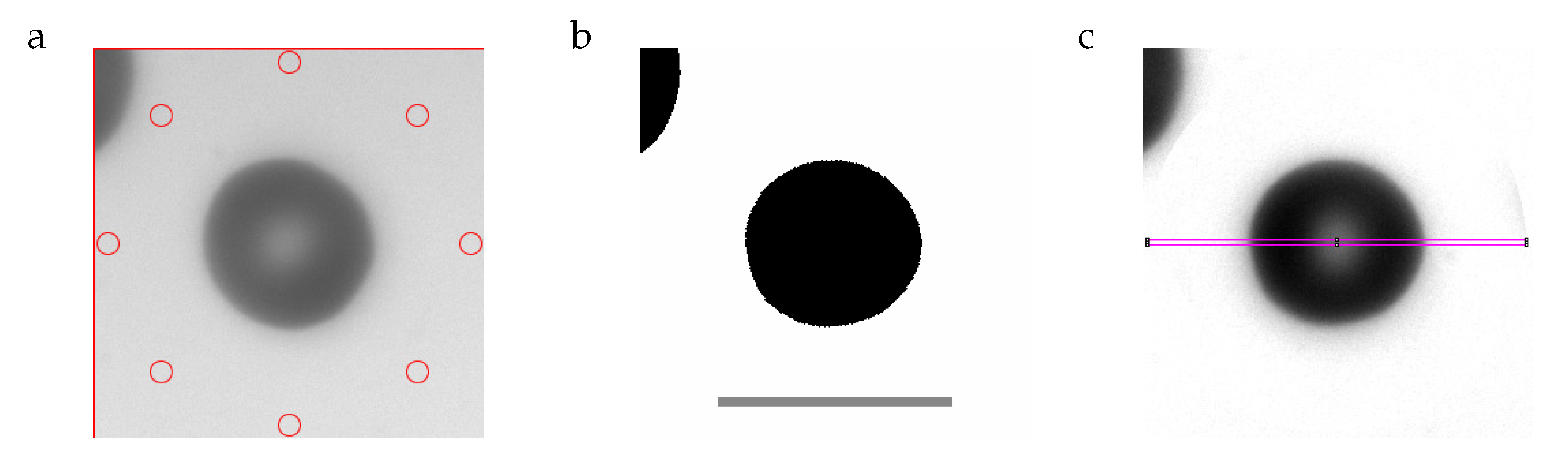 Cells 11 01941 g002 Cells 11 01941 g002