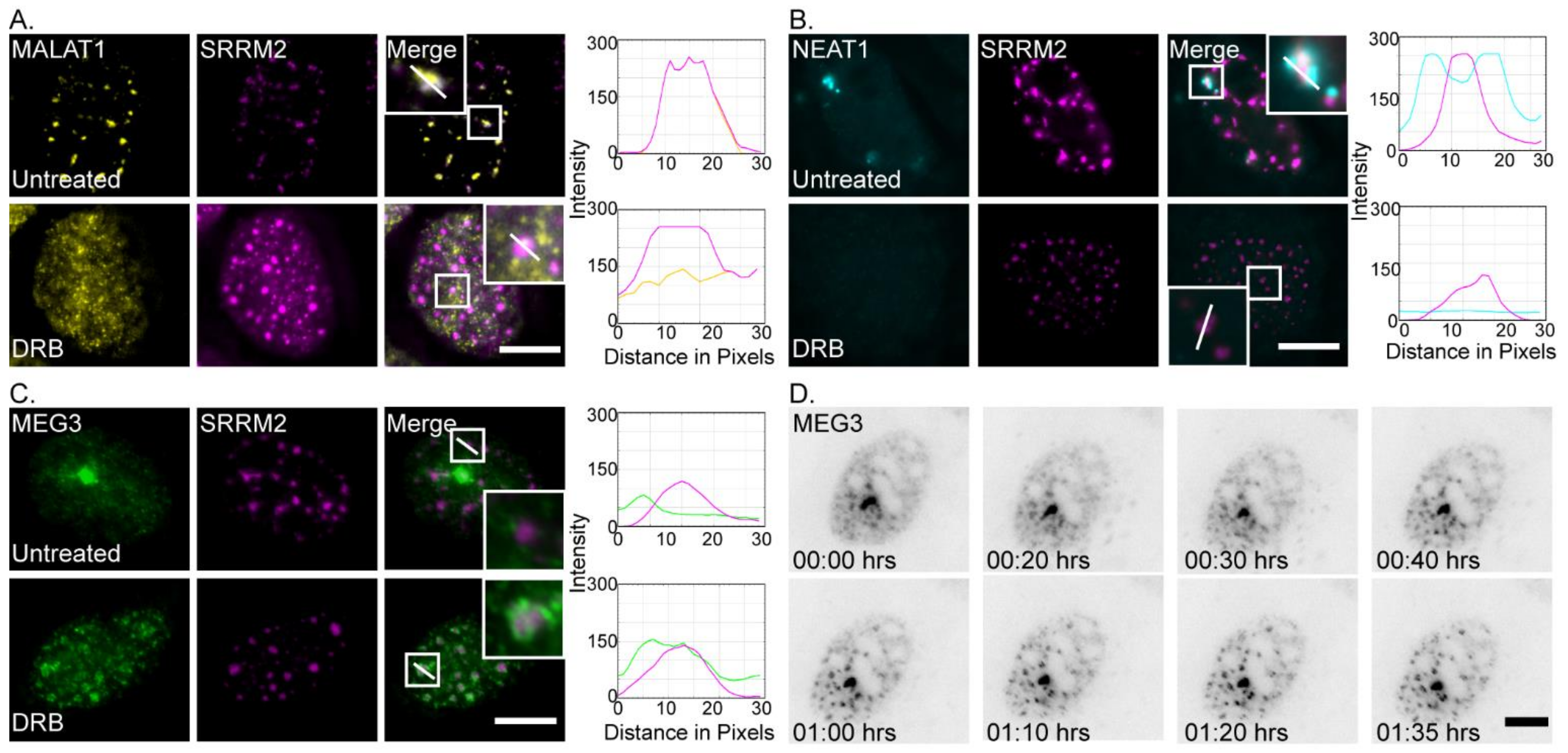 Cells 11 01942 g002 550
