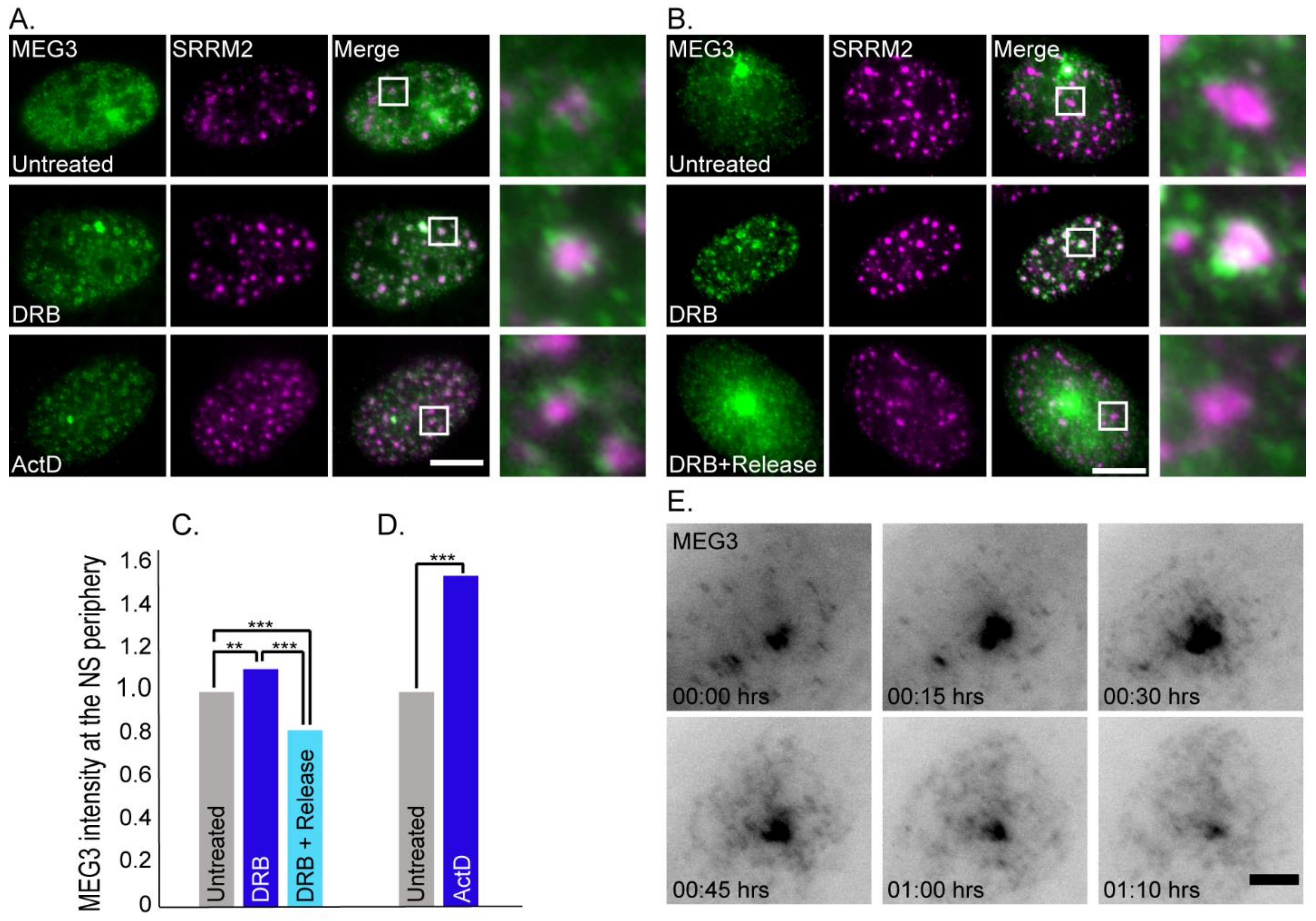 Cells 11 01942 g003 550