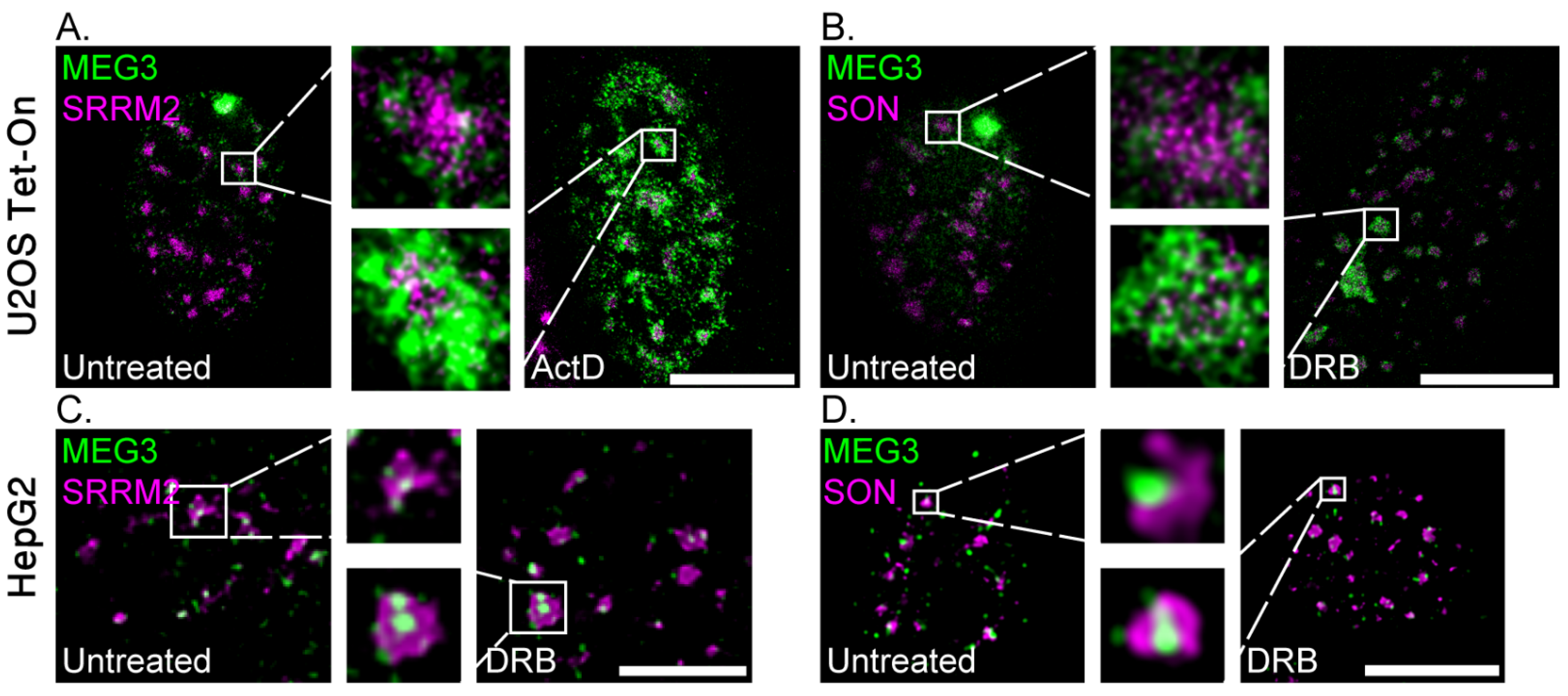 Cells 11 01942 g008 550