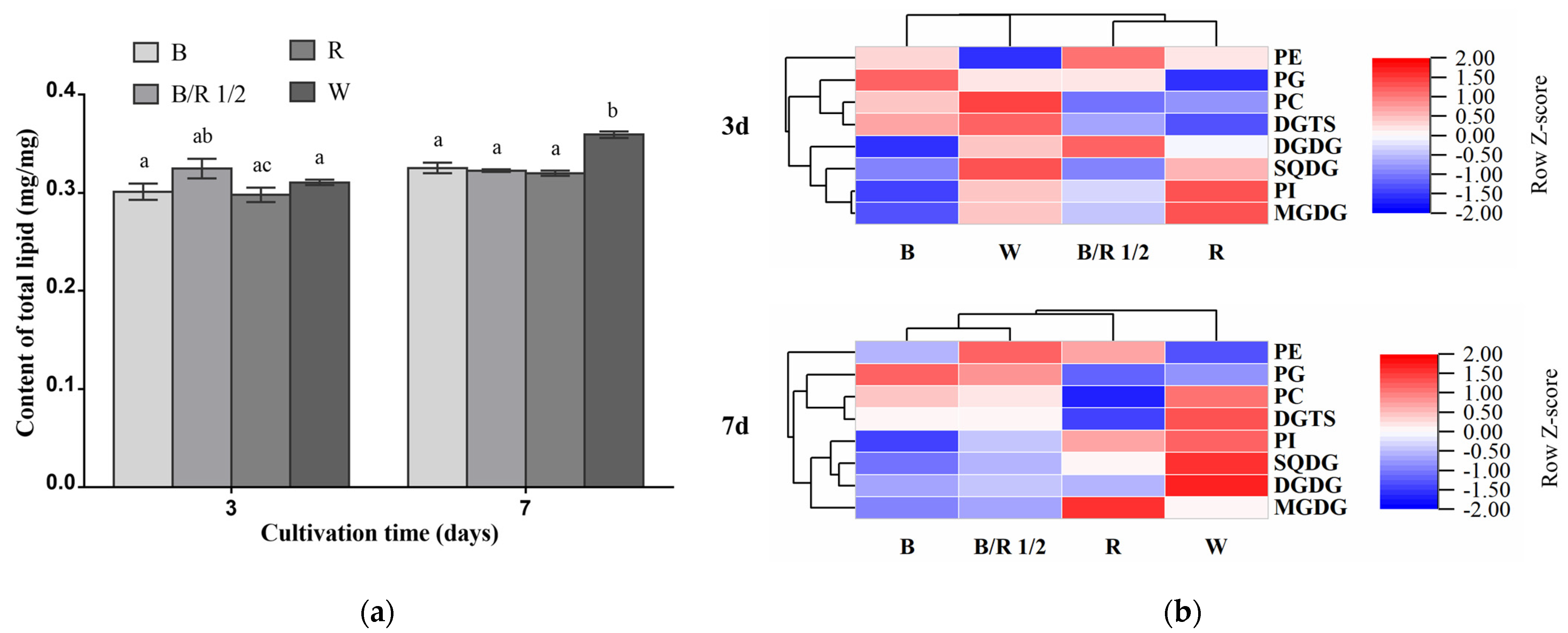 Cells 11 01956 g005 550
