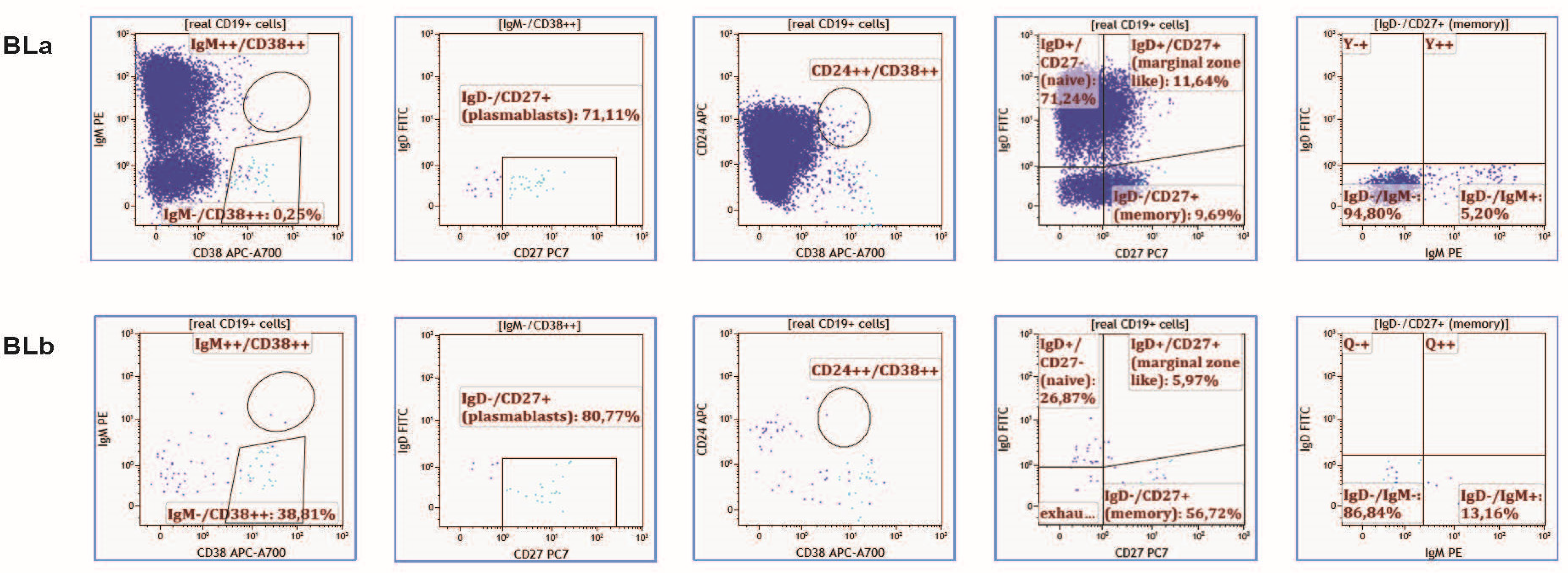 Cells 11 01959 g001 Cells 11 01959 g001