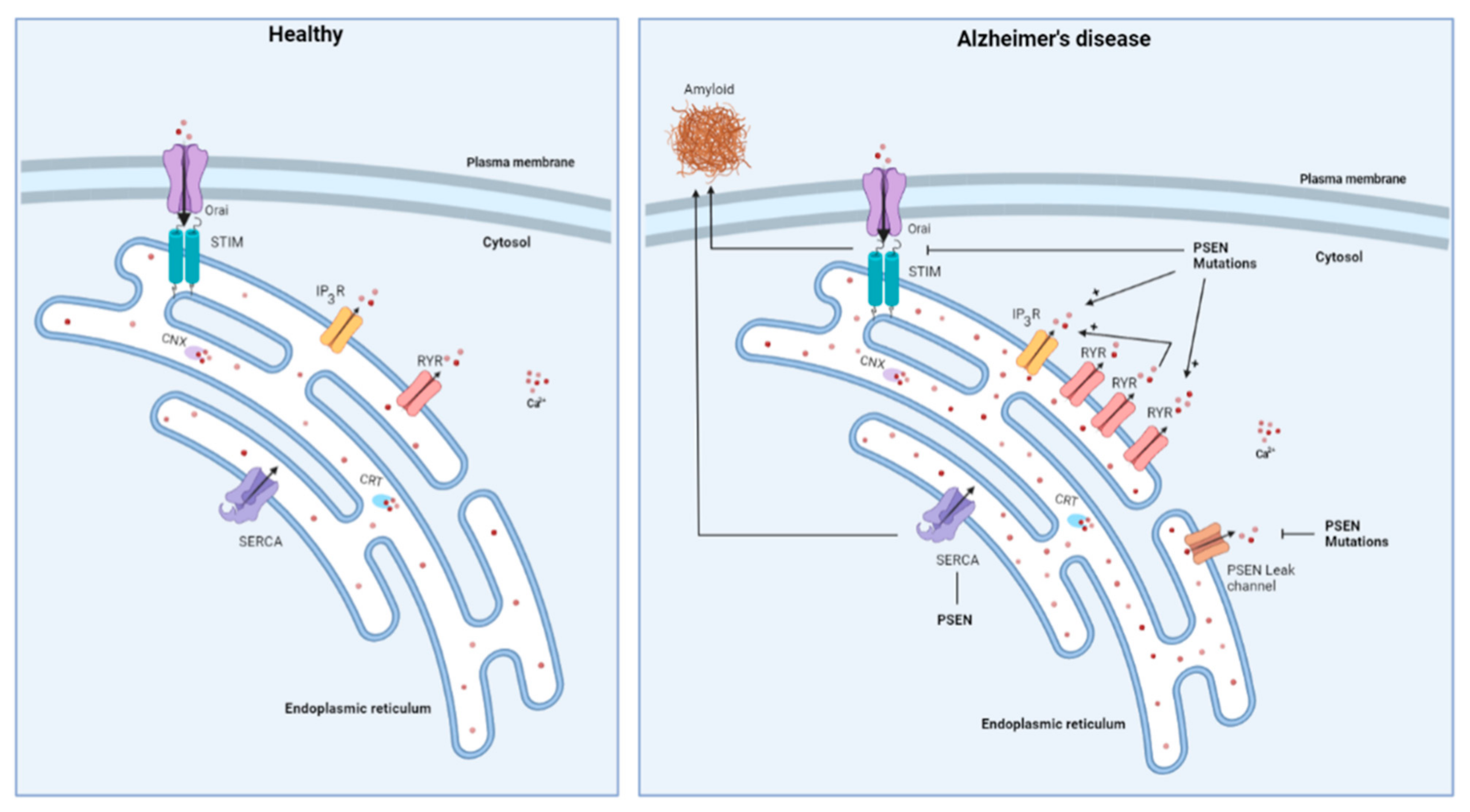 Cells 11 01963 g002 Cells 11 01963 g002