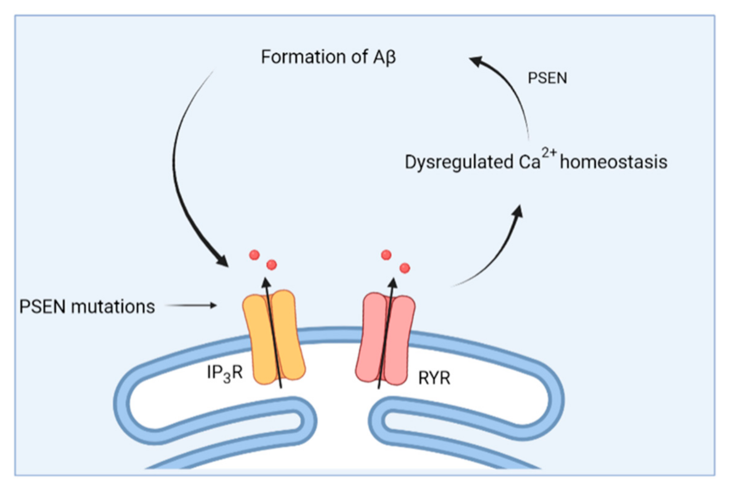 Cells 11 01963 g003 Cells 11 01963 g003