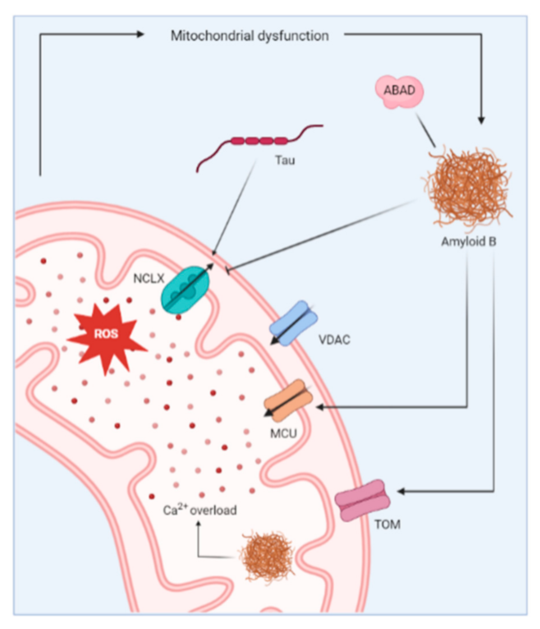 Cells 11 01963 g004 Cells 11 01963 g004