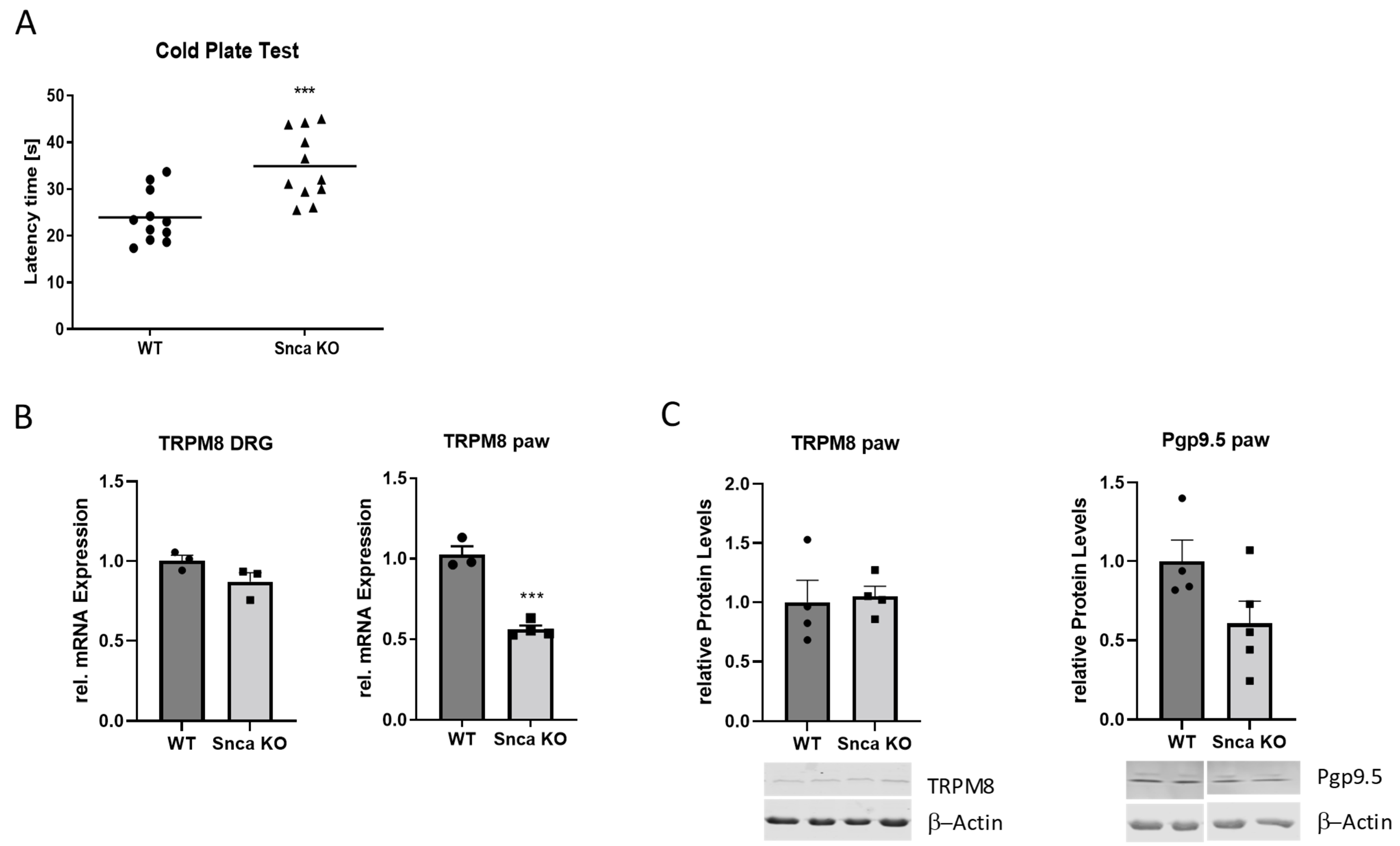 Cells 11 01967 g002 550