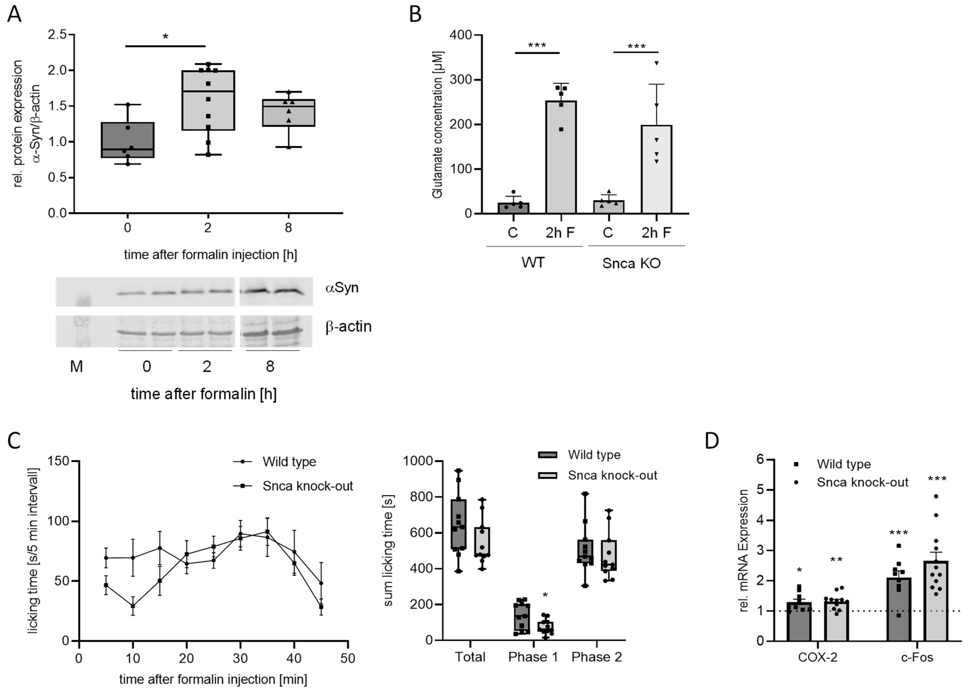 Cells 11 01967 g003 550