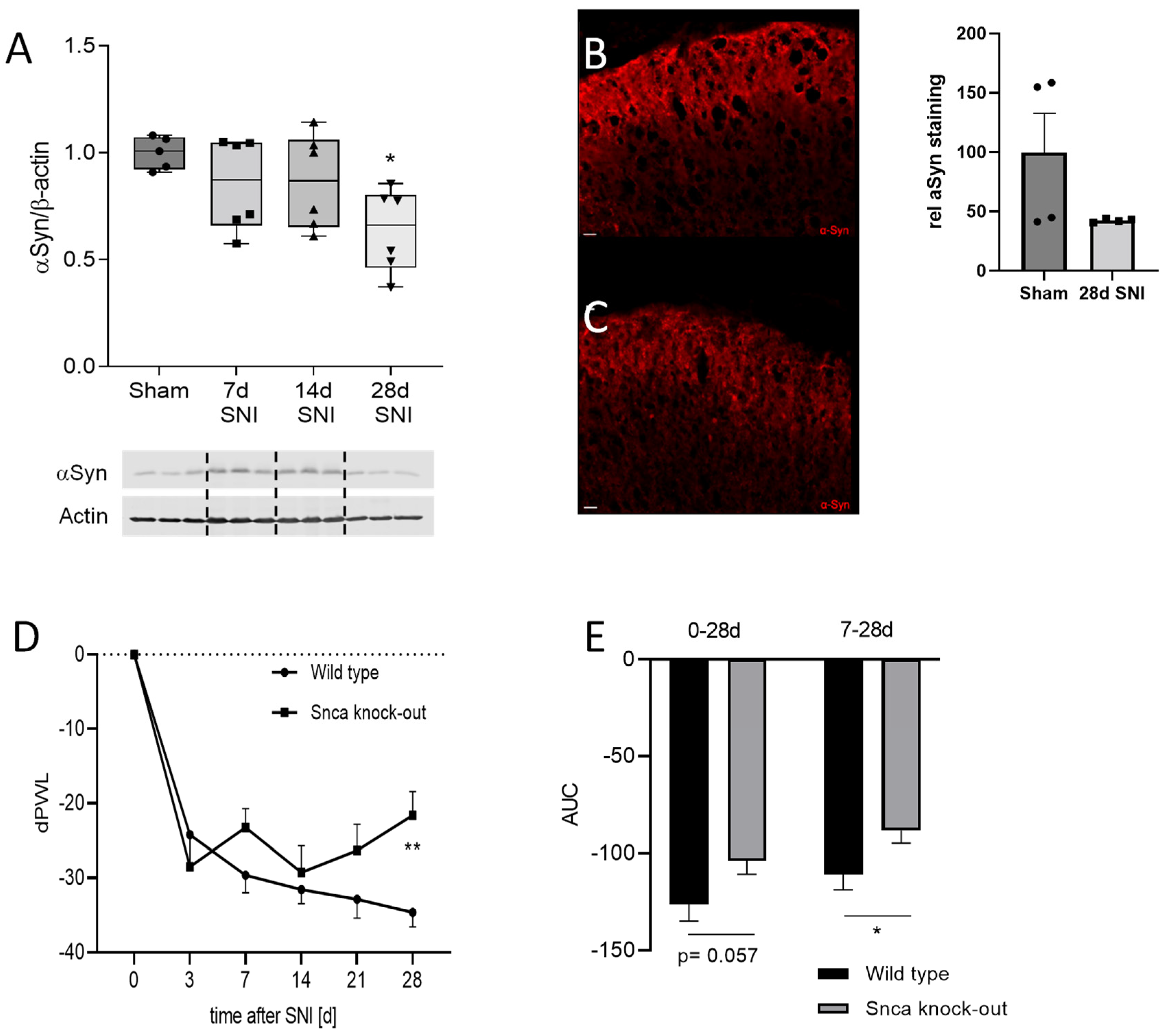 Cells 11 01967 g004 550