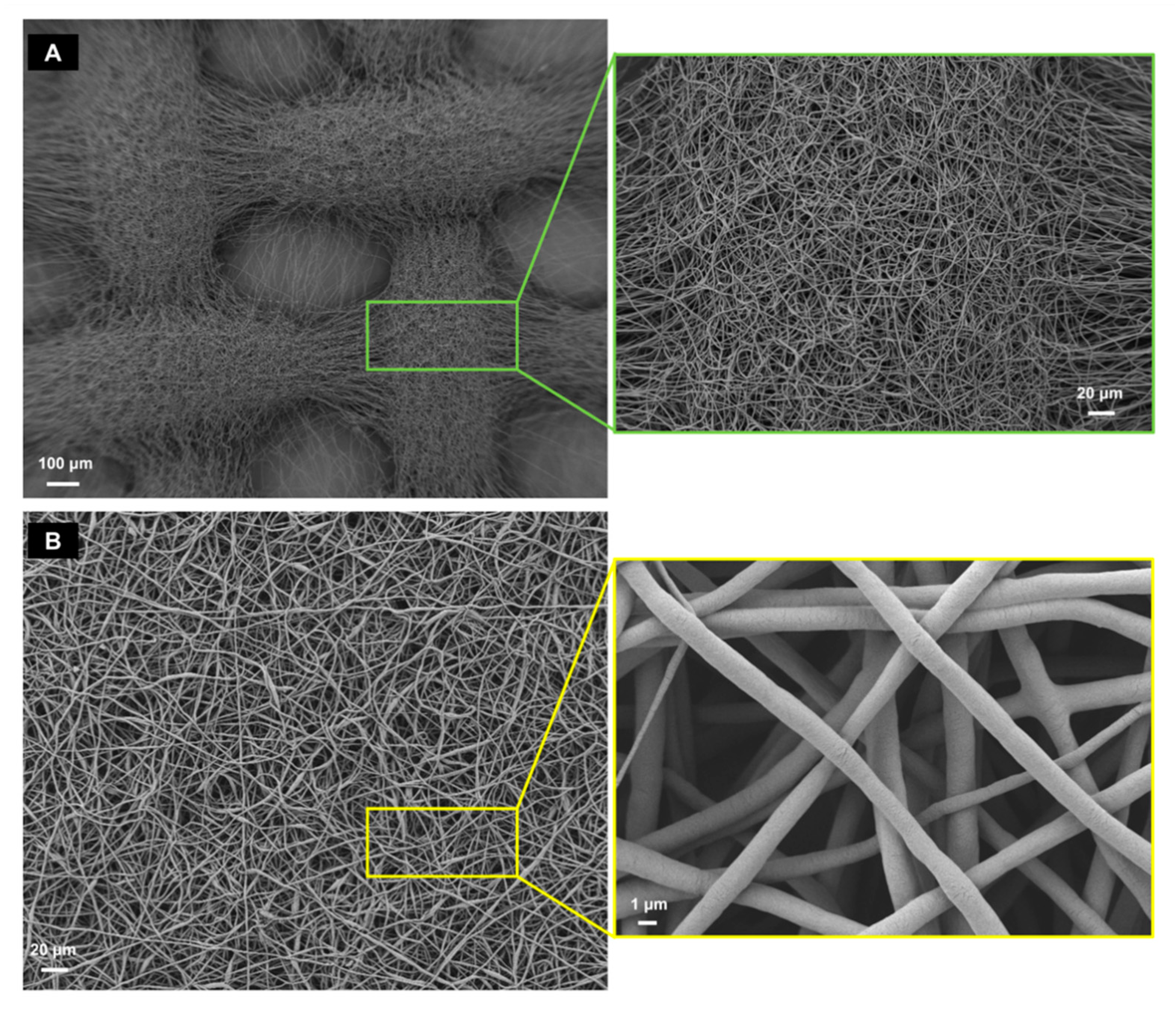 Cells 11 01968 g003 Cells 11 01968 g003