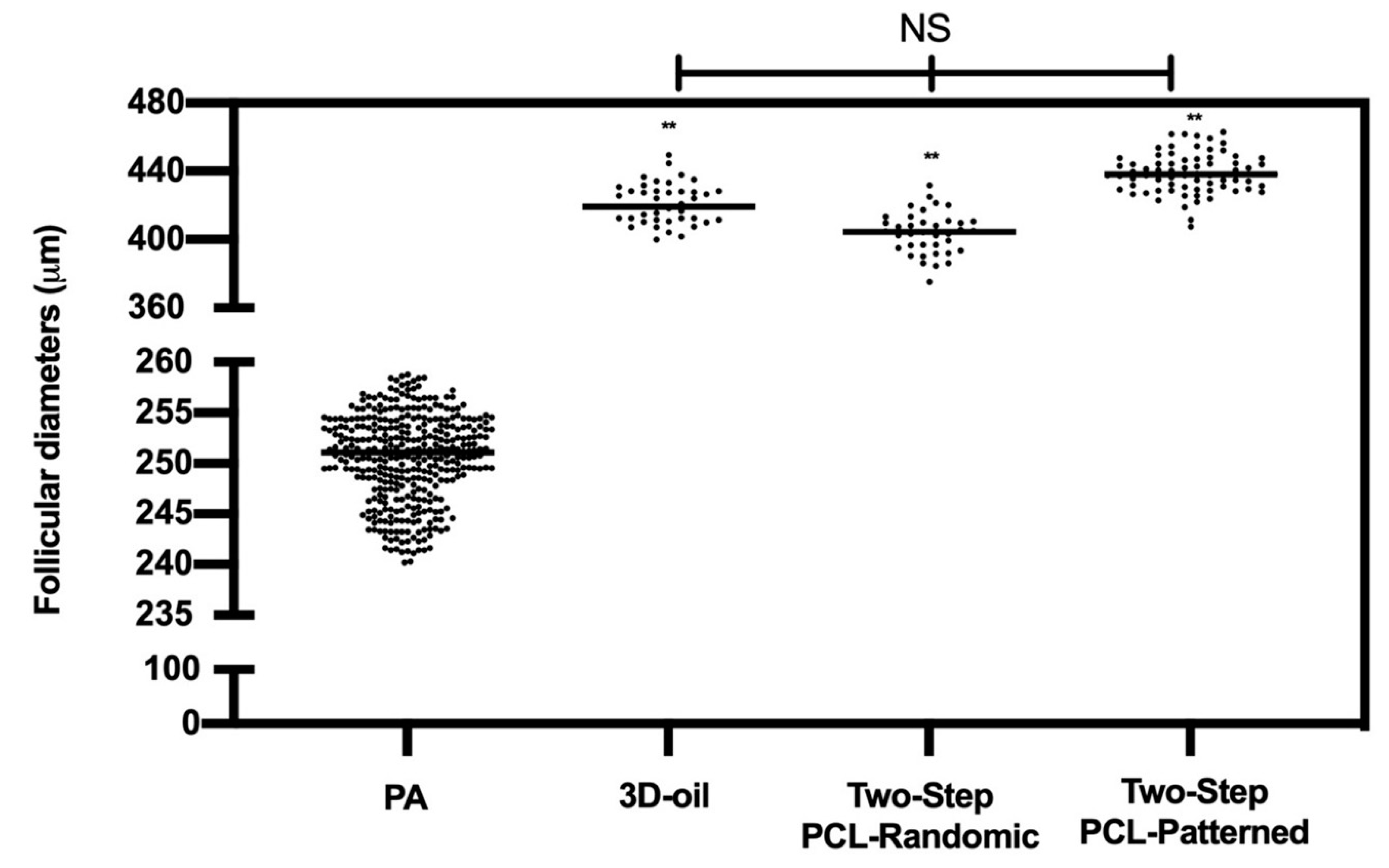 Cells 11 01968 g005 Cells 11 01968 g005
