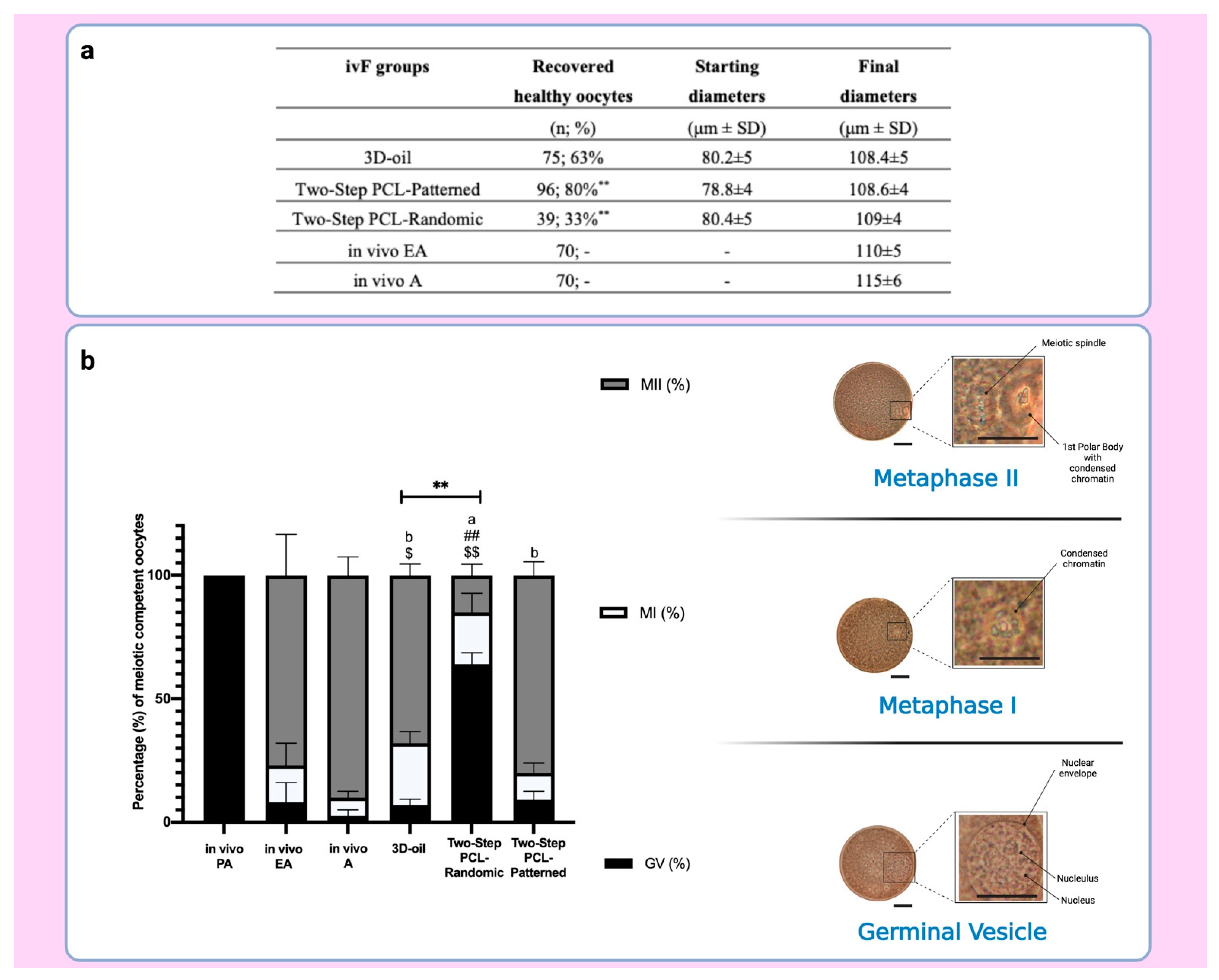 Cells 11 01968 g008 Cells 11 01968 g008