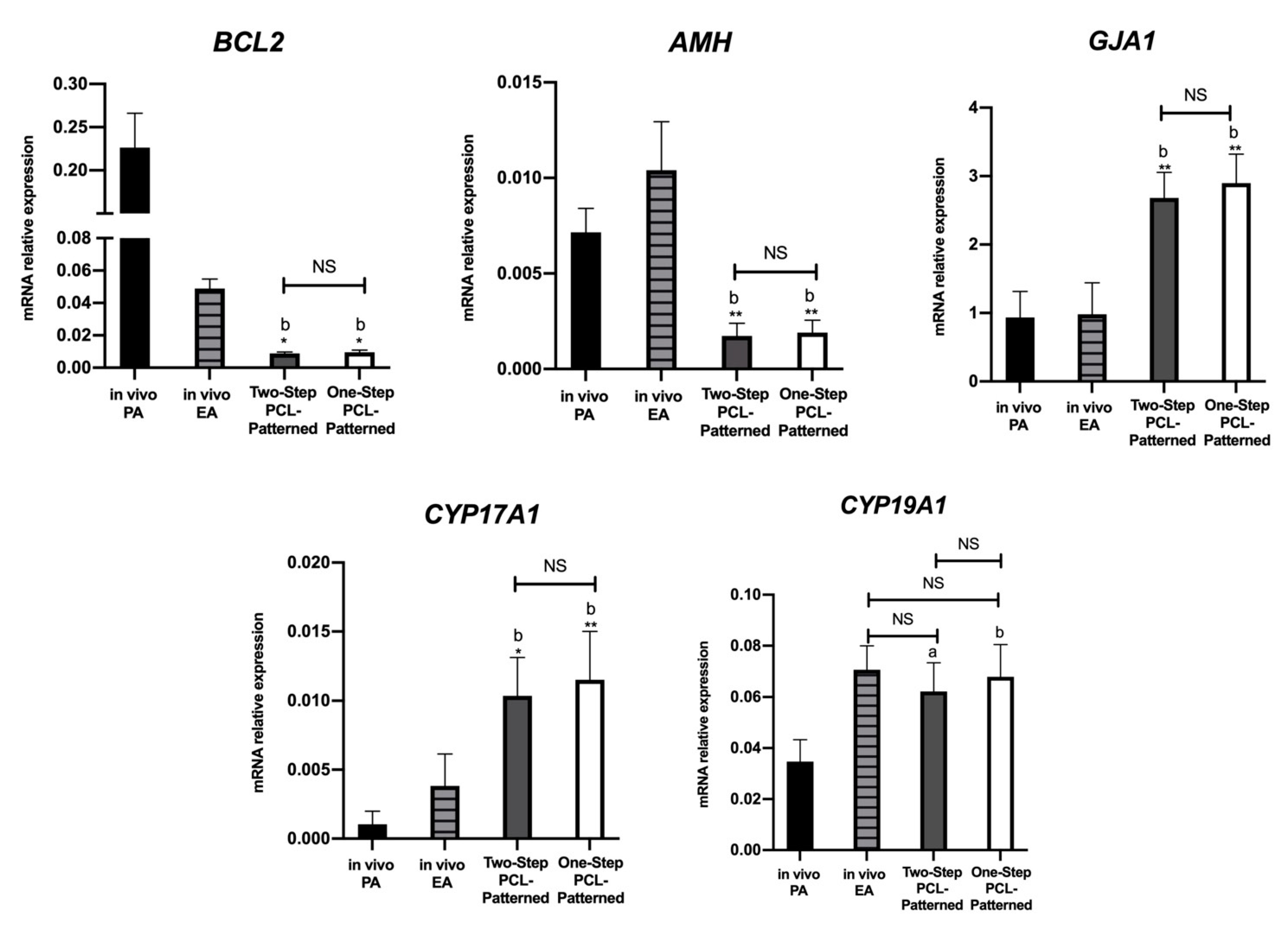 Cells 11 01968 g012 Cells 11 01968 g012