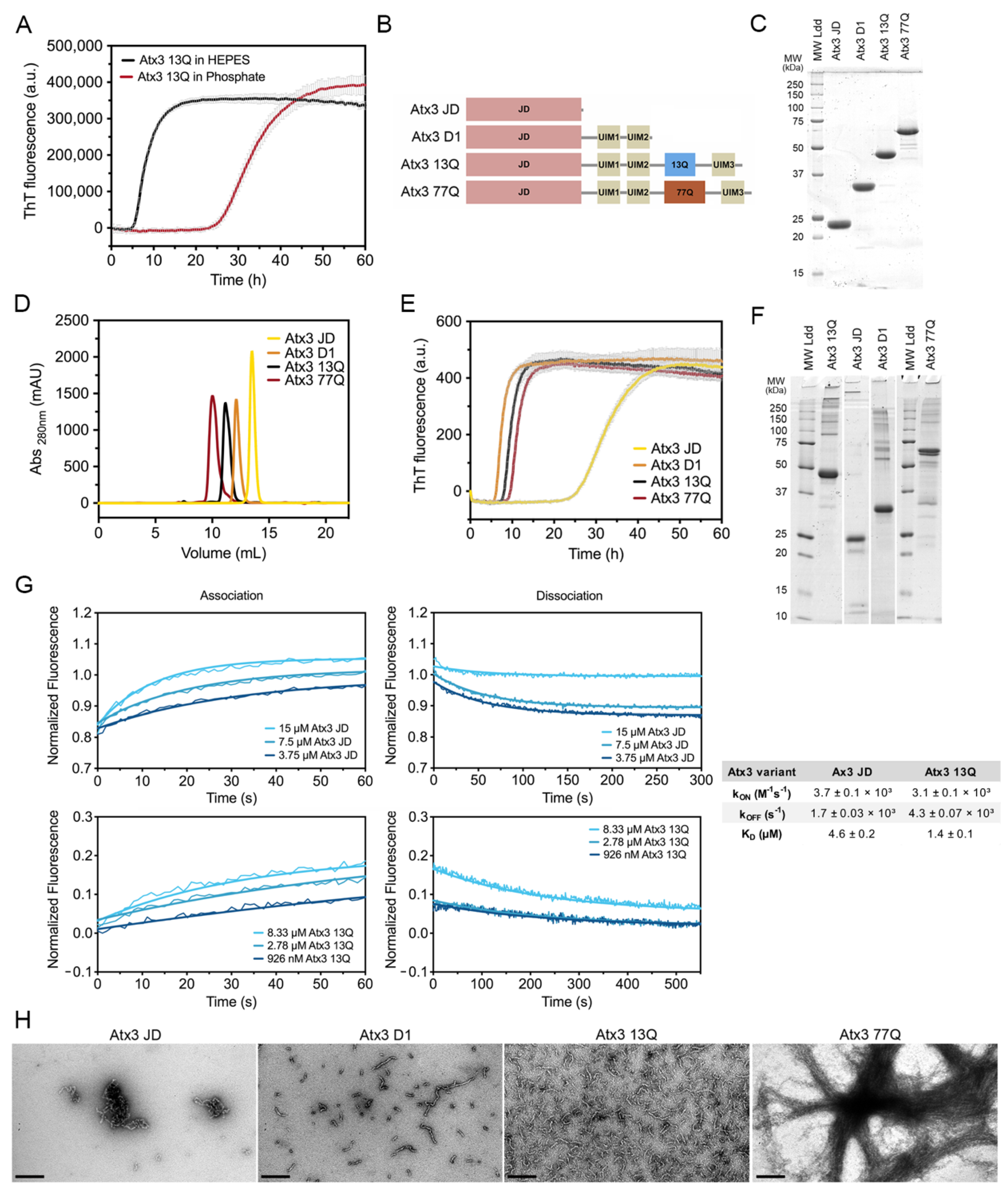 Cells 11 01969 g001 550
