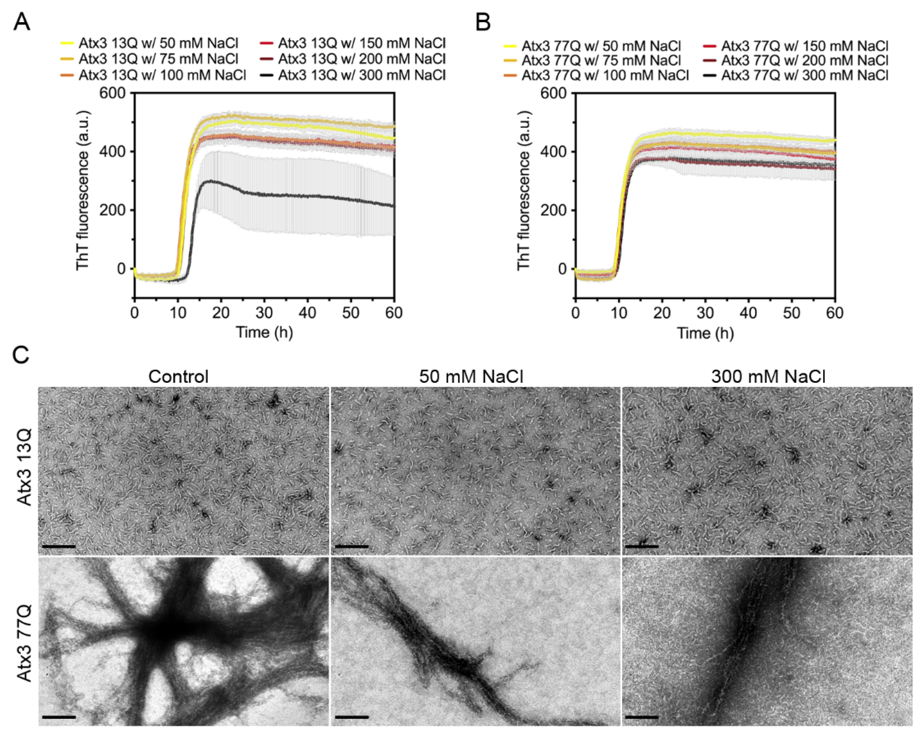Cells 11 01969 g003 550