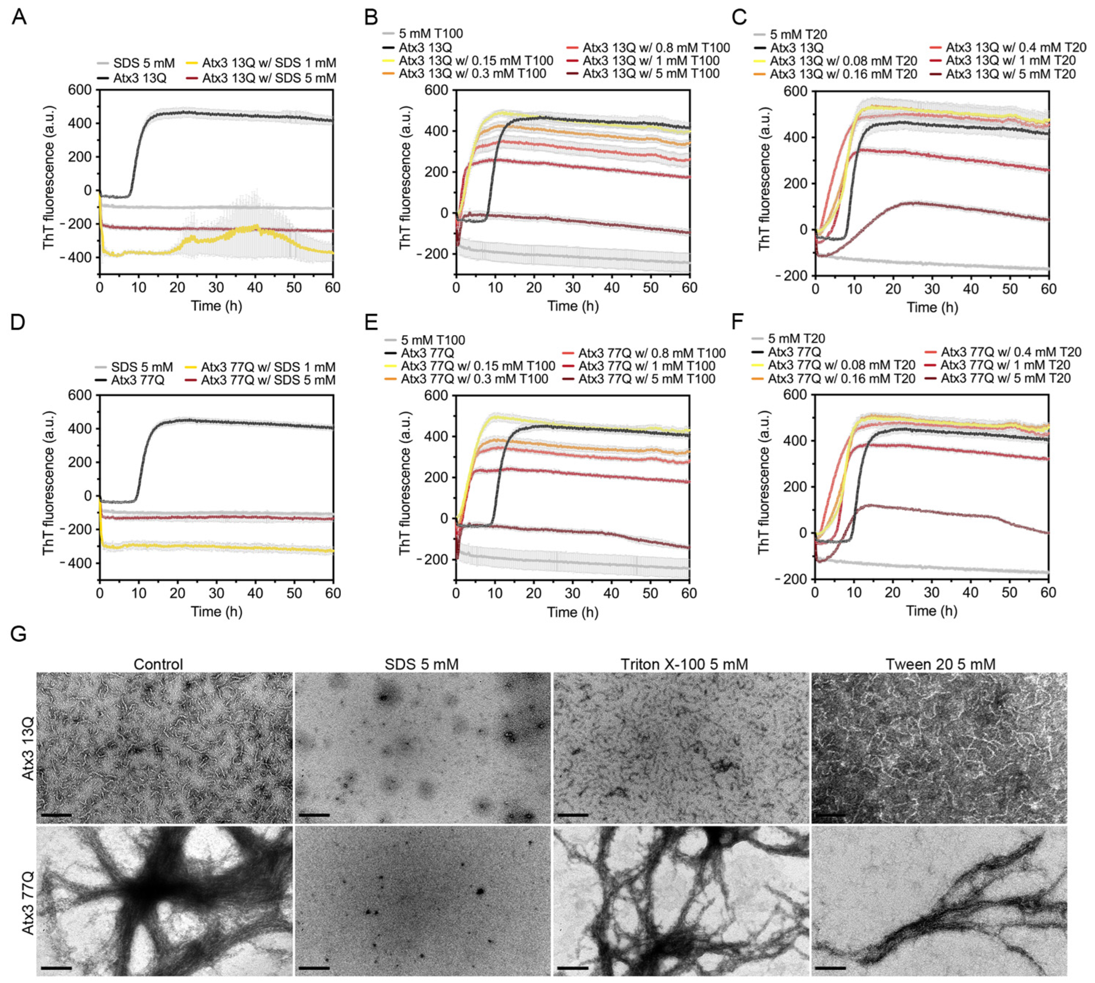 Cells 11 01969 g005 550