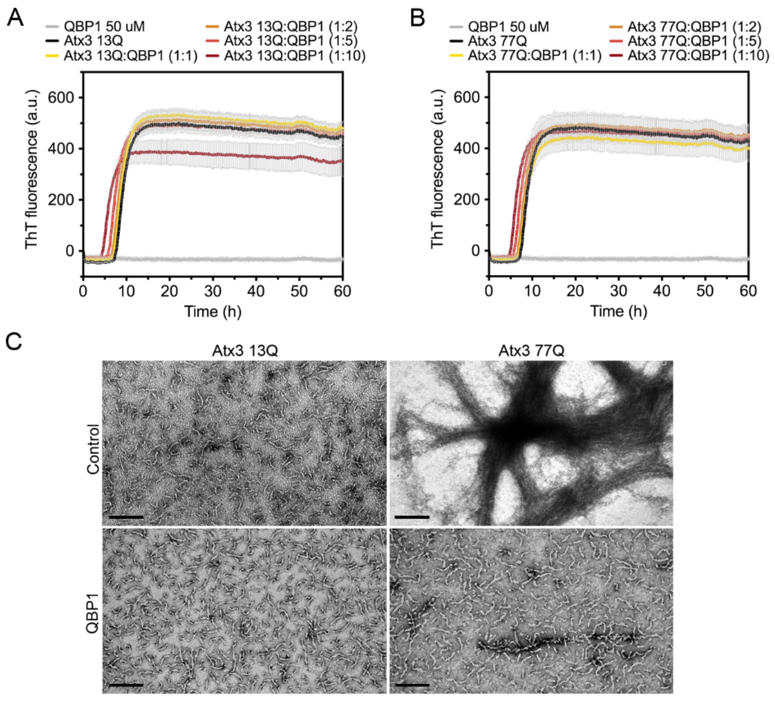 Cells 11 01969 g008 550