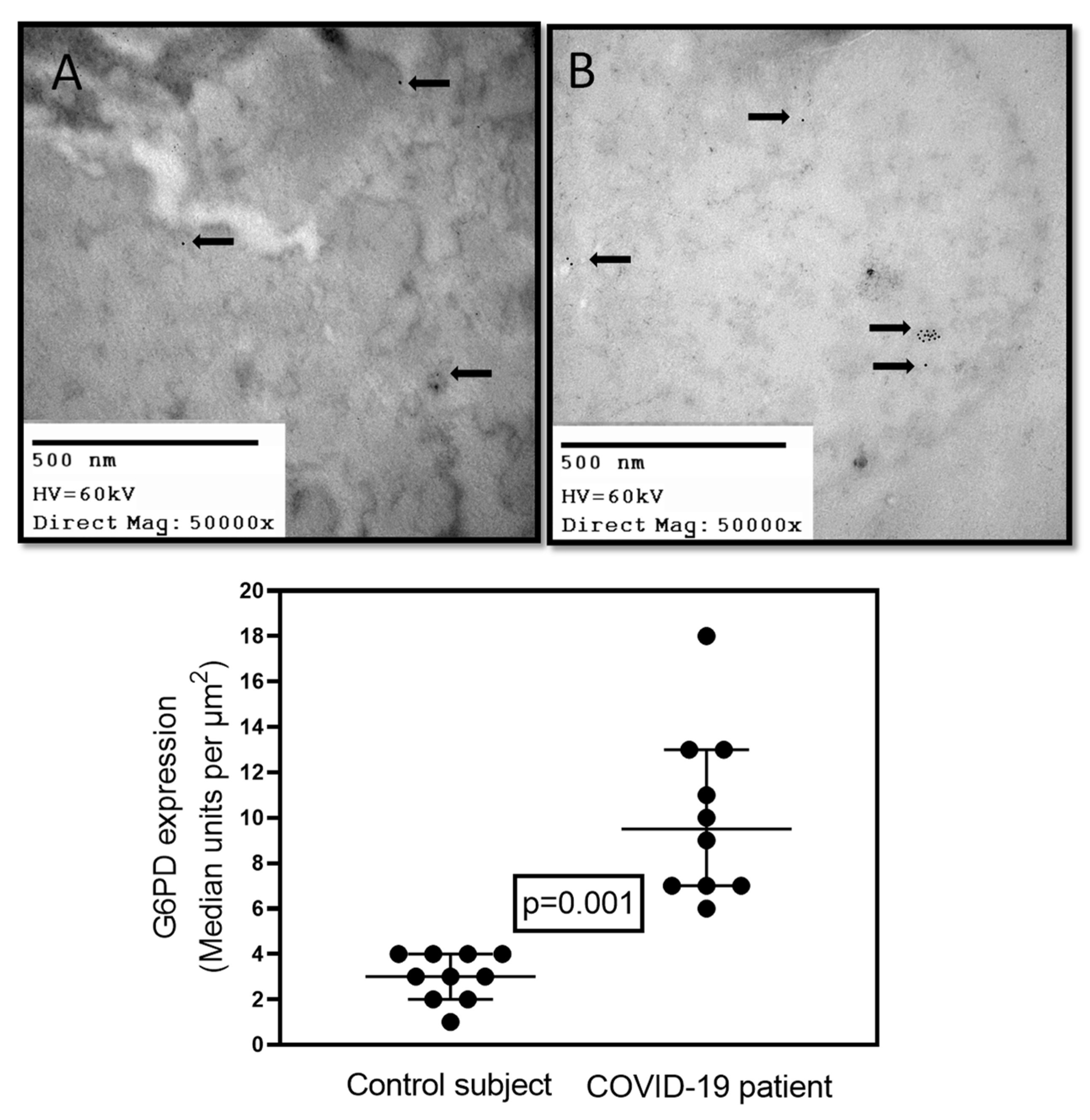 Cells 11 01982 g001 550