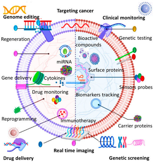 Different Sourced Extracellular Vesicles and Their Potential