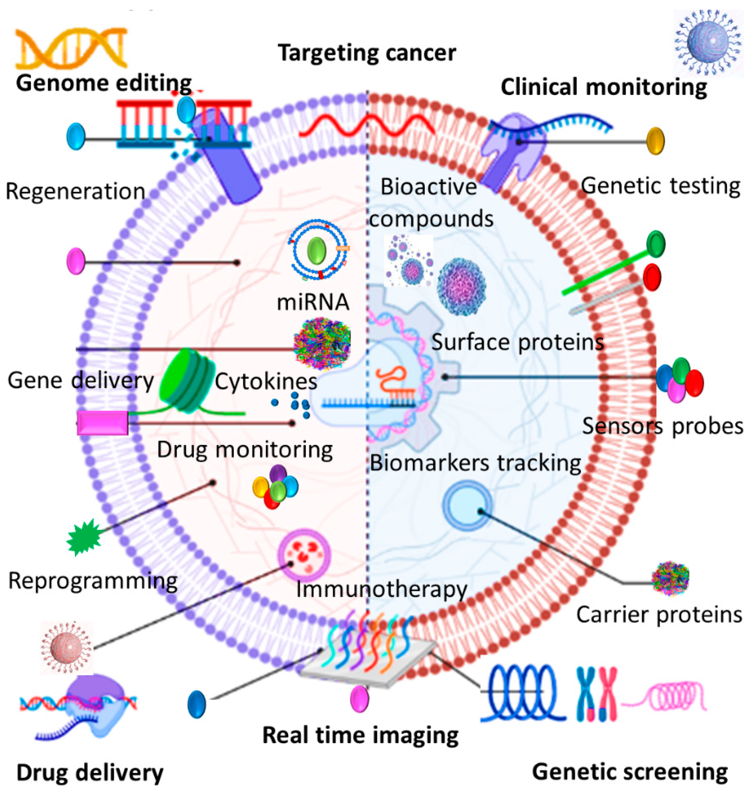 Cells 11 01989 g002 Cells 11 01989 g002