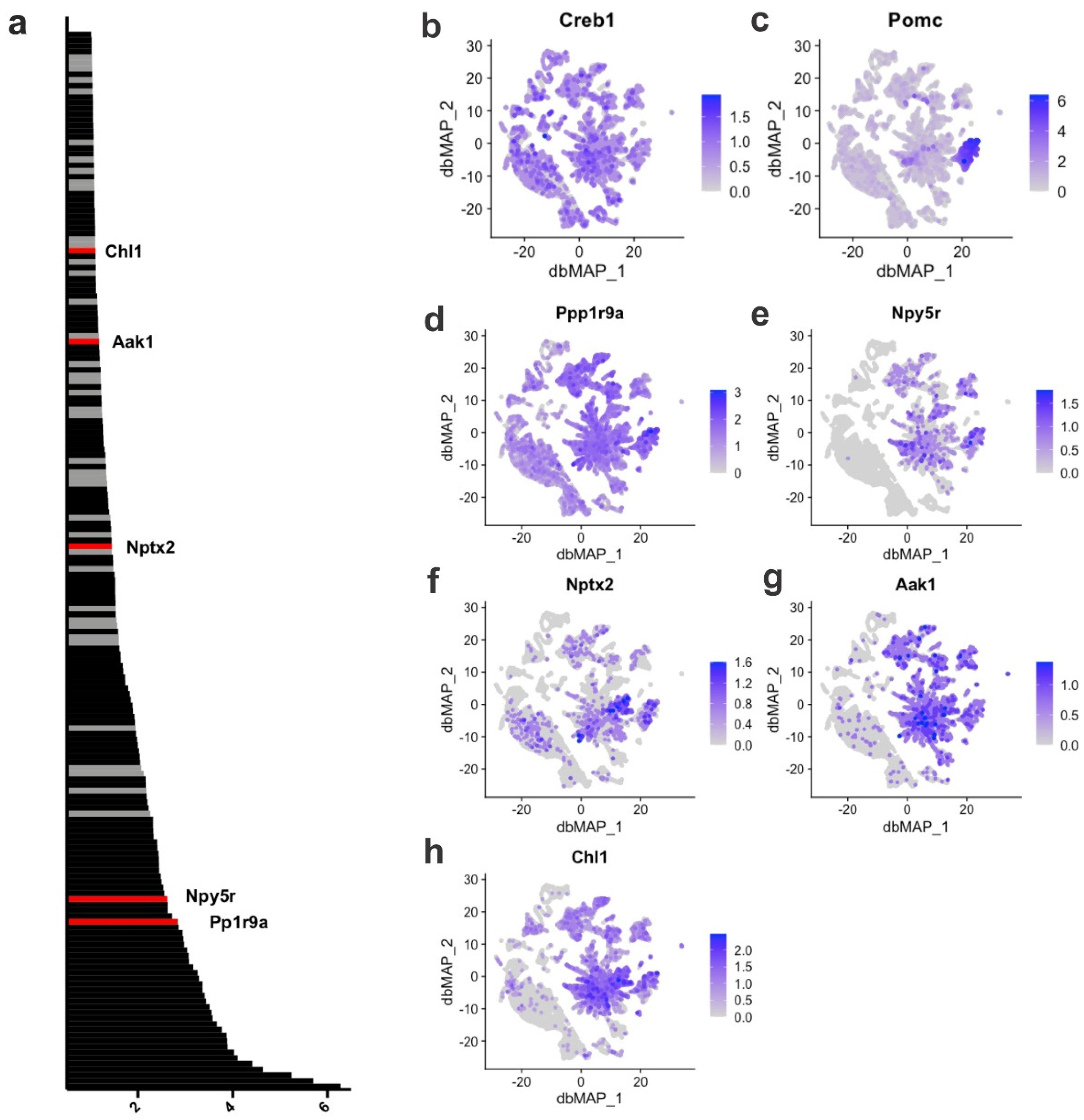 Cells 11 01996 g002 Cells 11 01996 g002
