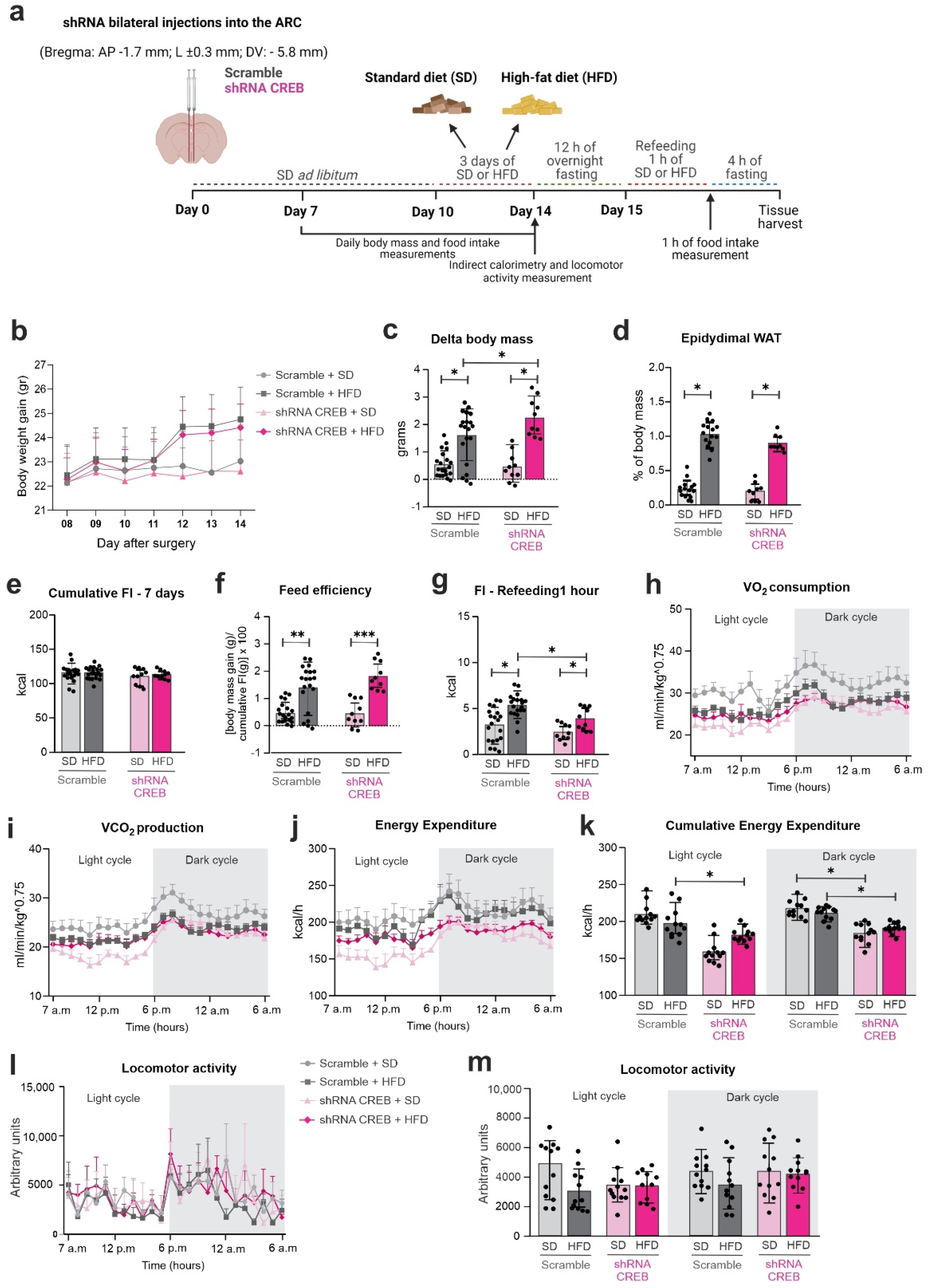 Cells 11 01996 g006 Cells 11 01996 g006
