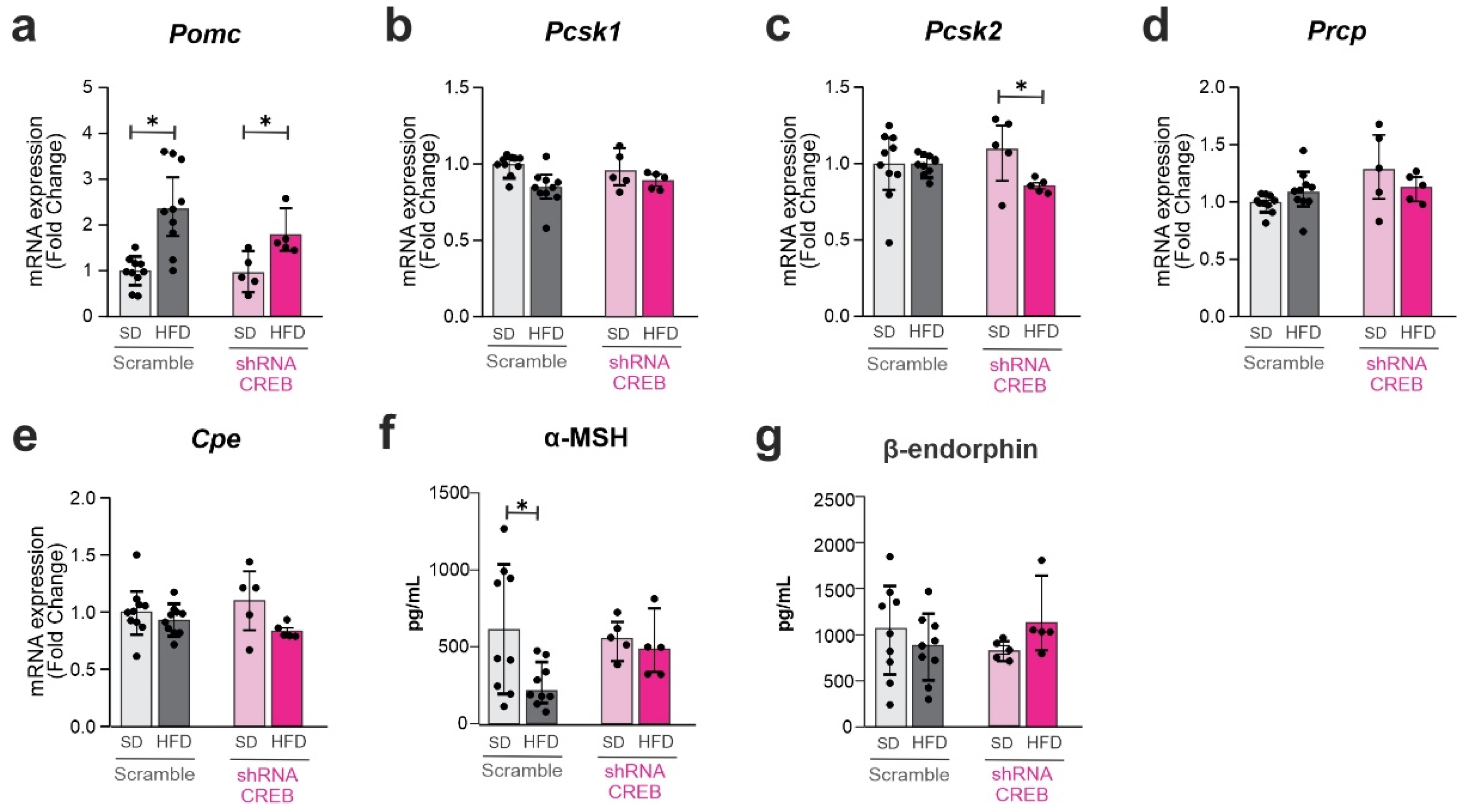 Cells 11 01996 g007 Cells 11 01996 g007