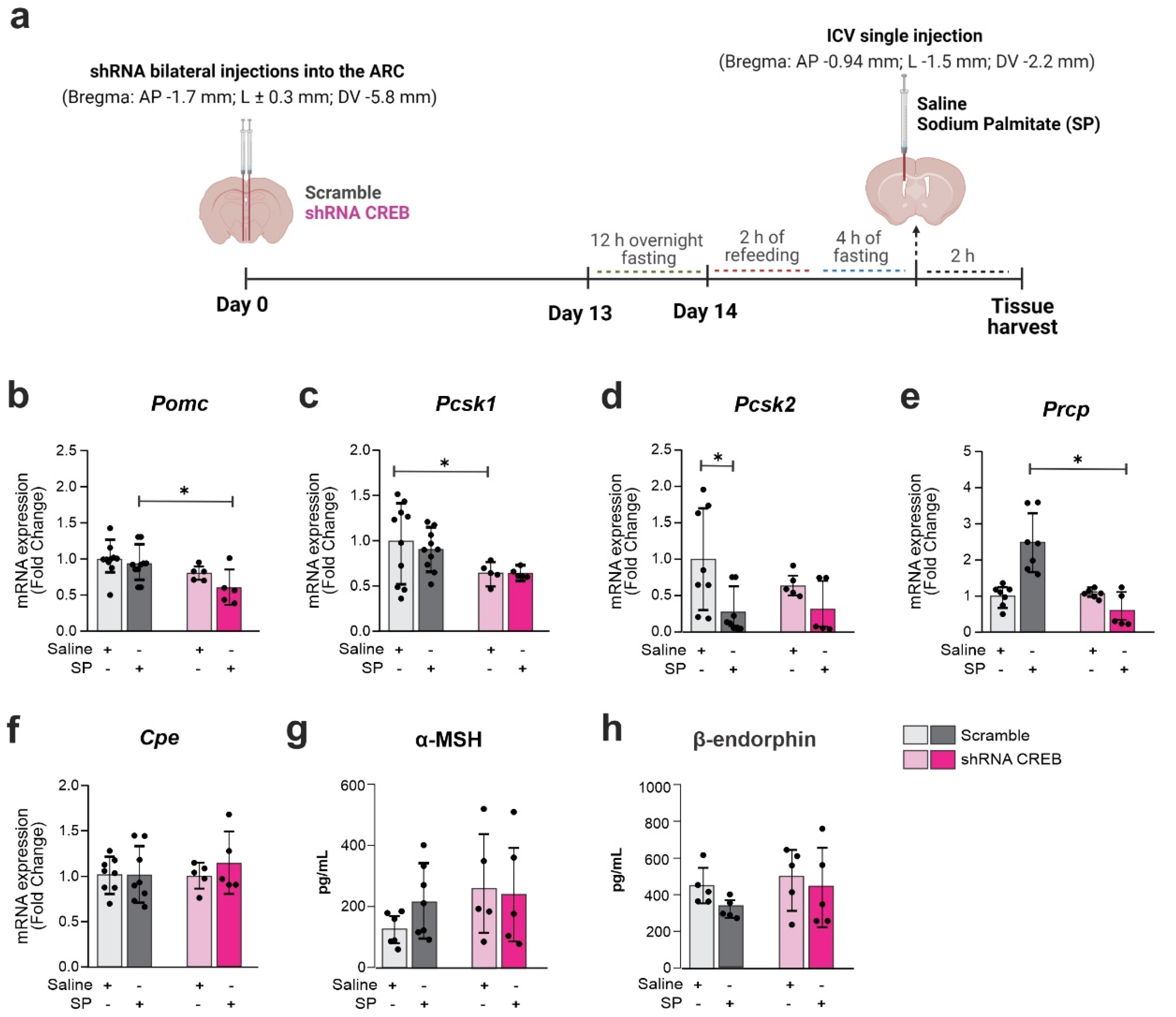 Cells 11 01996 g008 Cells 11 01996 g008