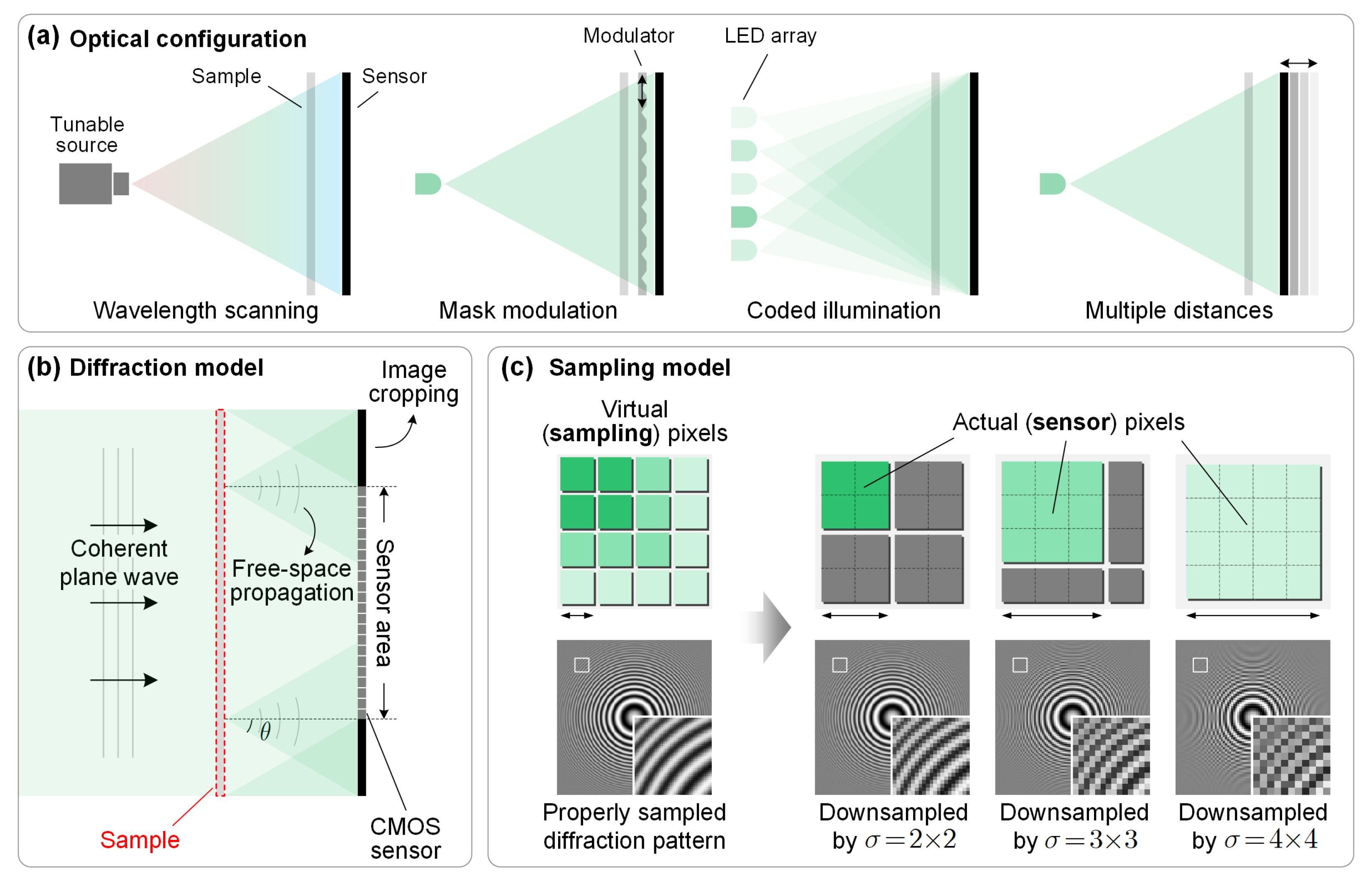 Cells 11 01999 g001 550