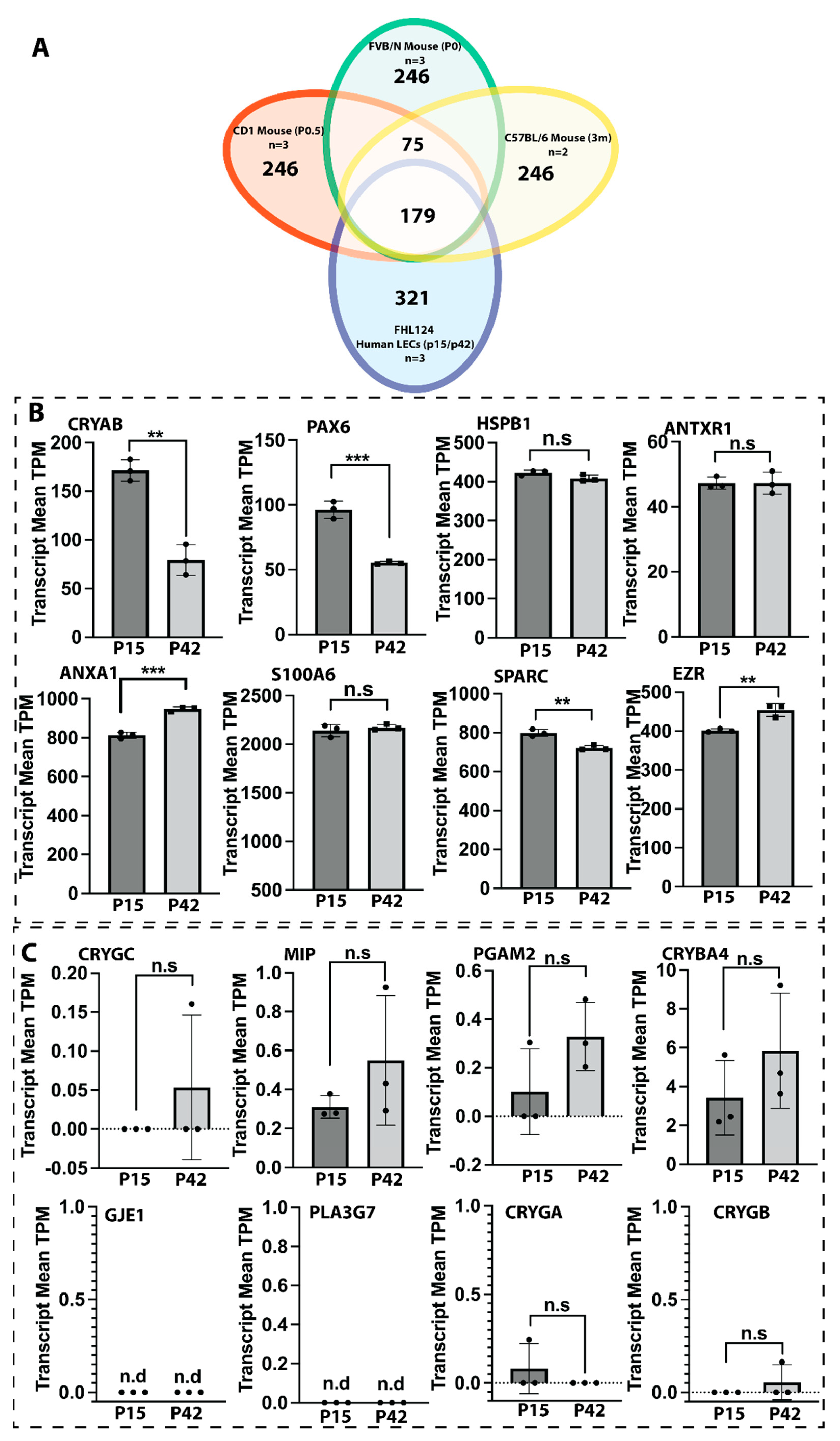 Cells 11 02001 g001 Cells 11 02001 g001
