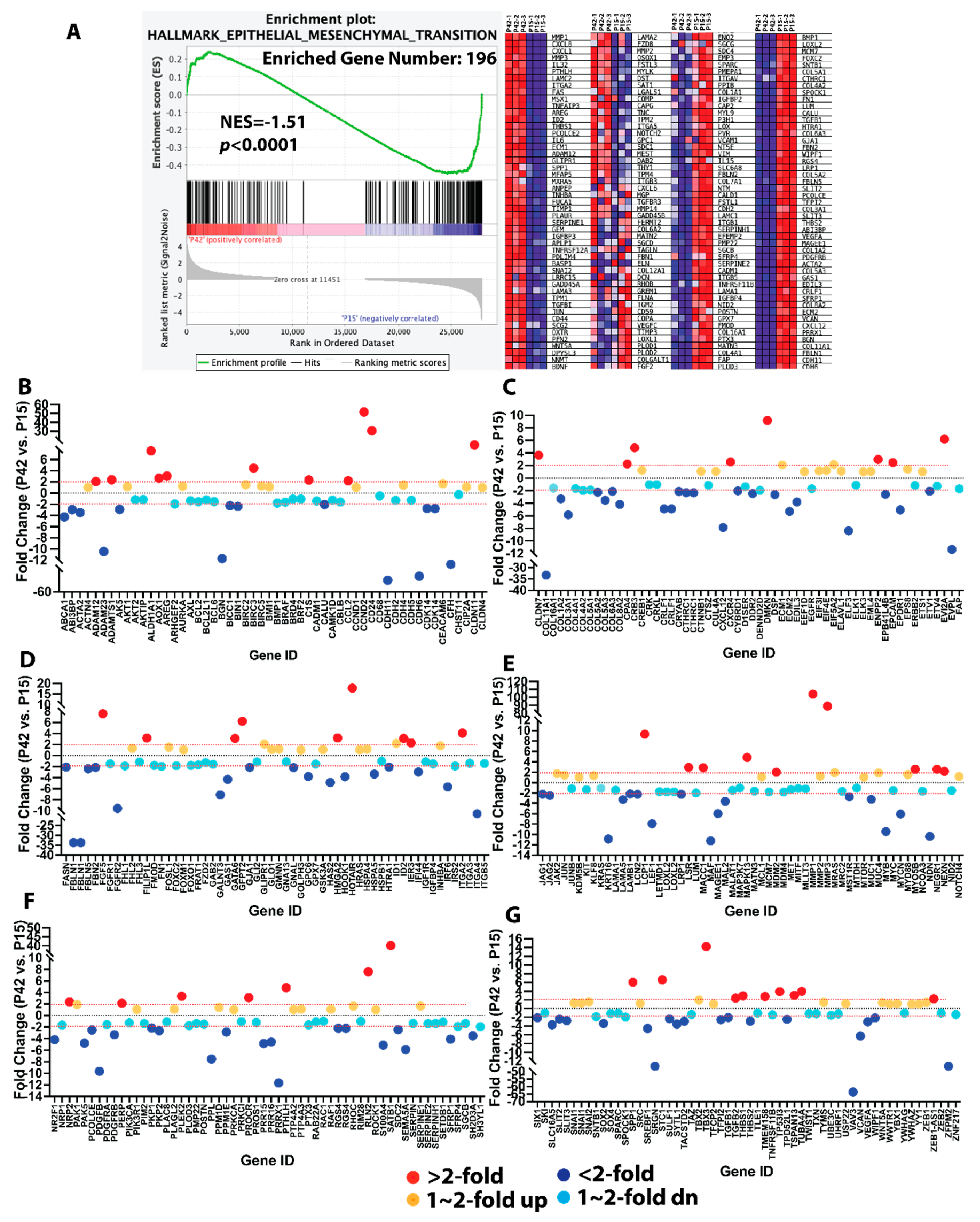 Cells 11 02001 g003 Cells 11 02001 g003