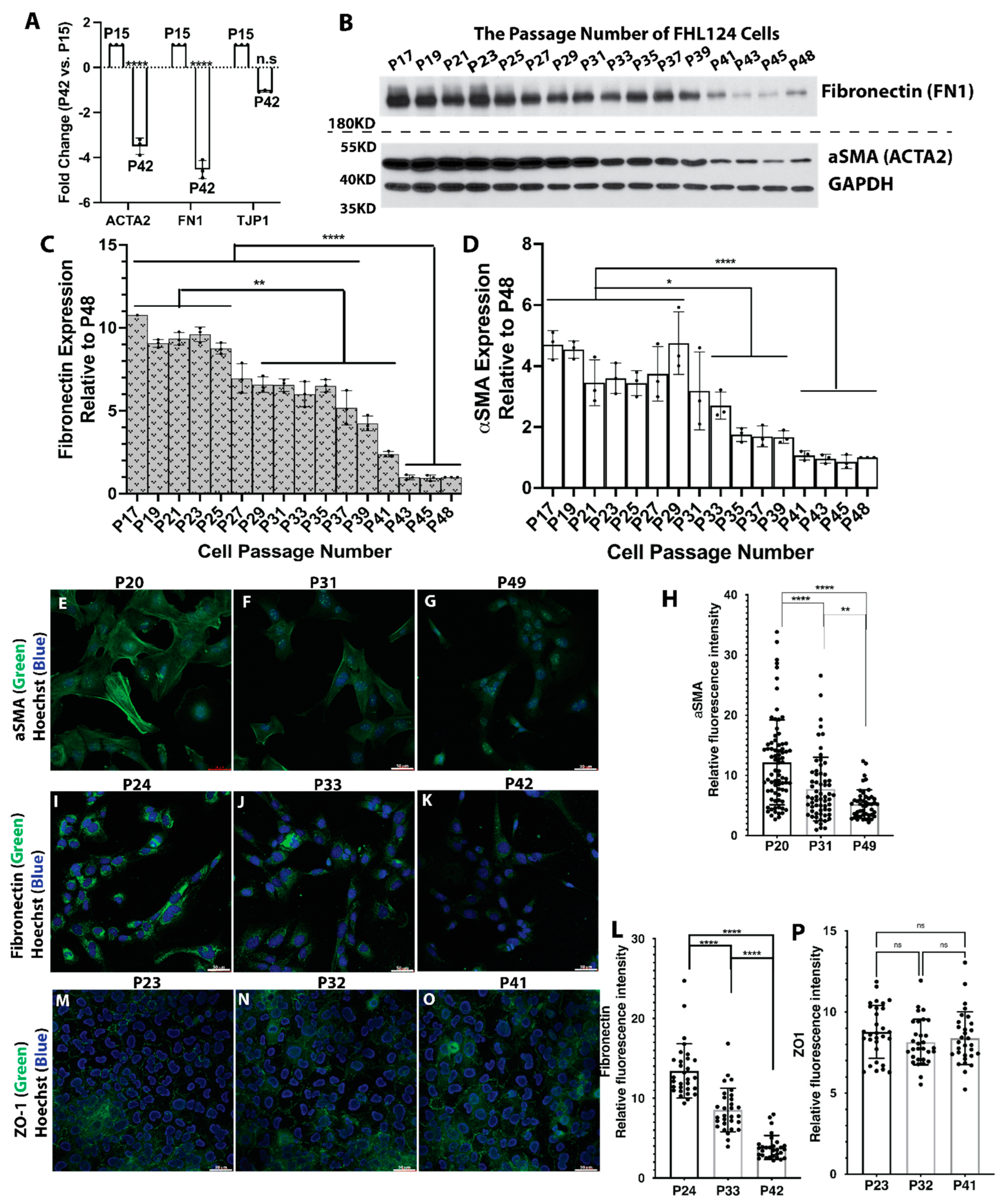 Cells 11 02001 g004 Cells 11 02001 g004