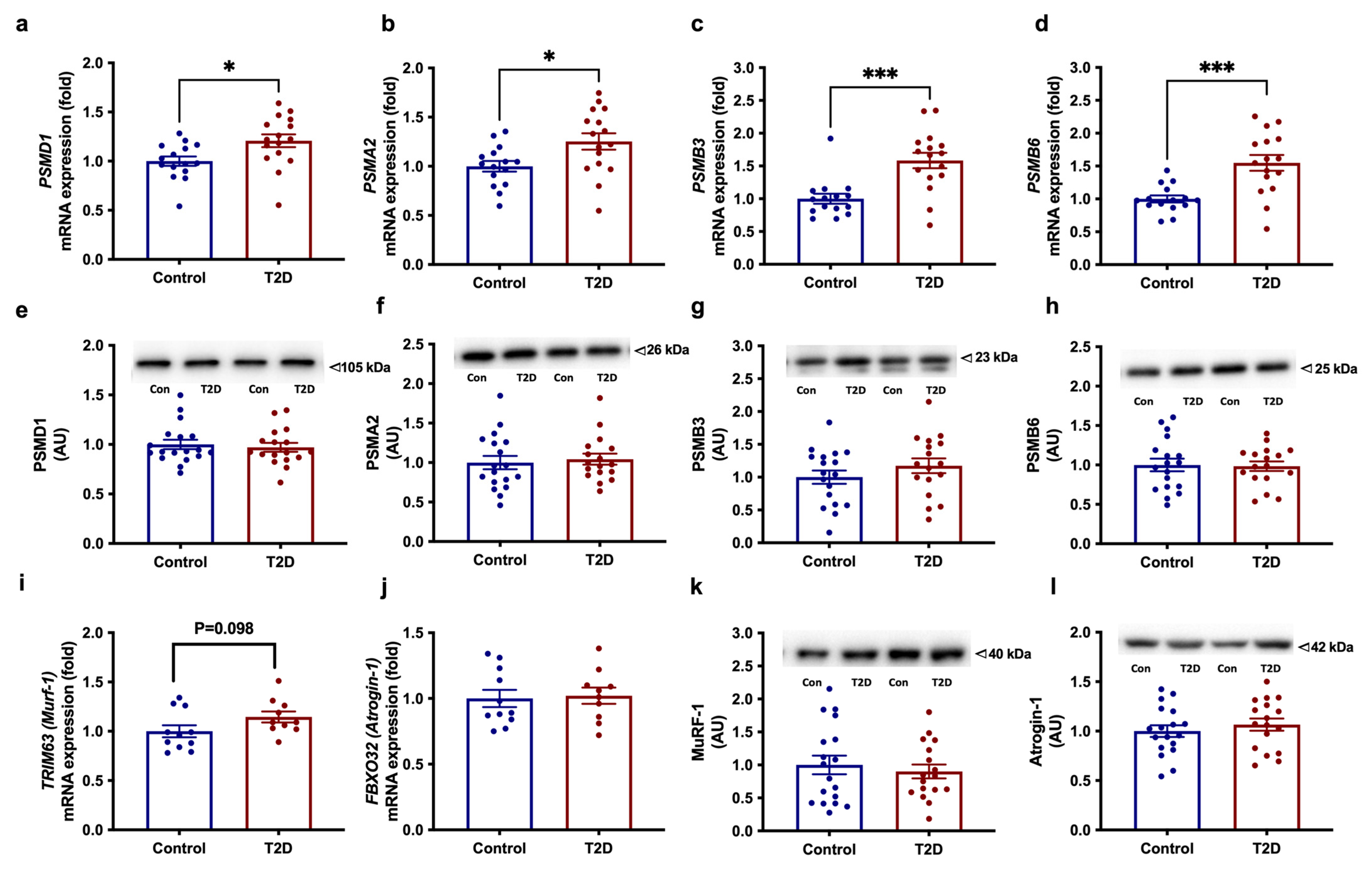 Cells 11 02005 g002 Cells 11 02005 g002