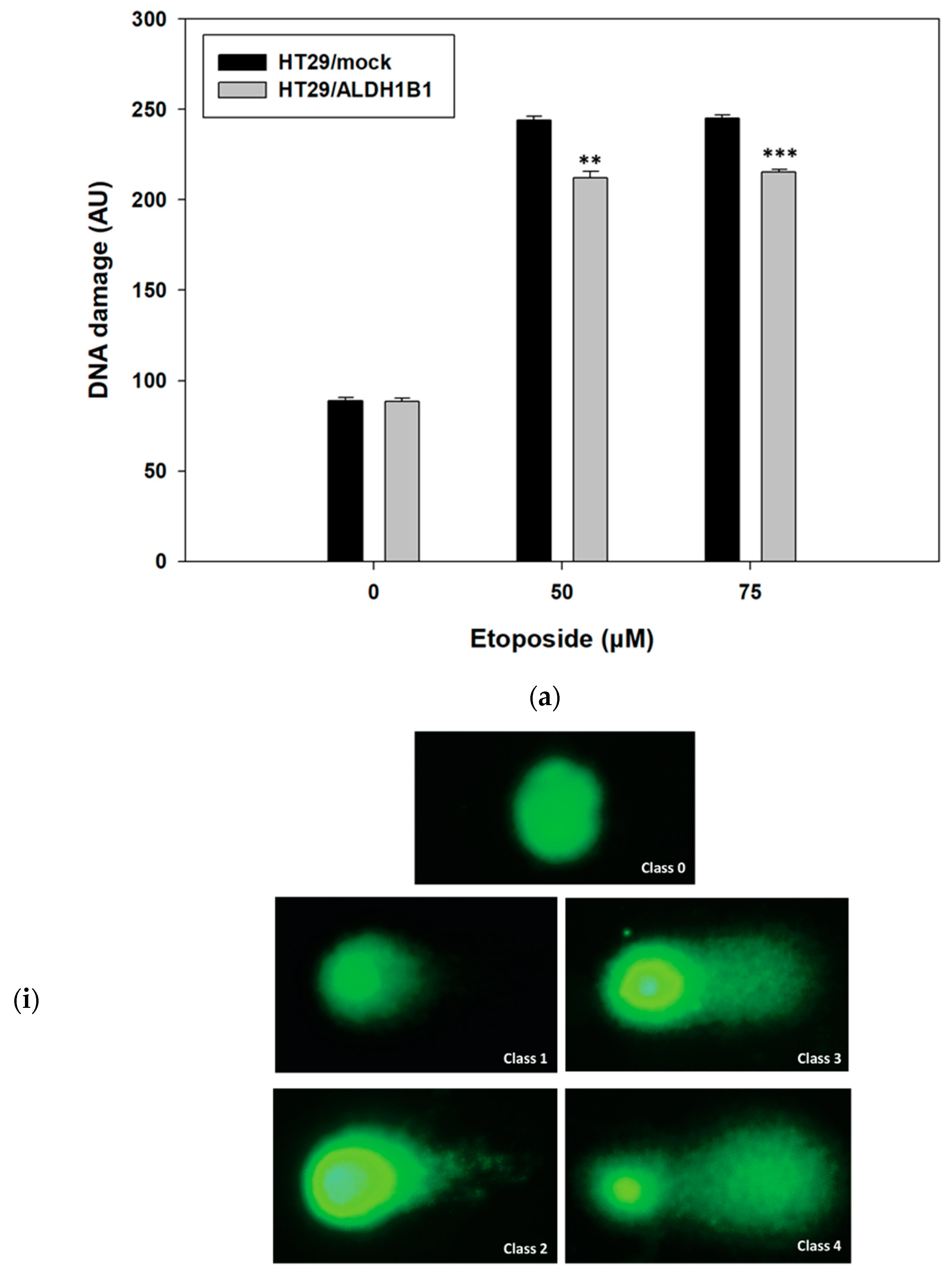 Cells 11 02017 g002a Cells 11 02017 g002a