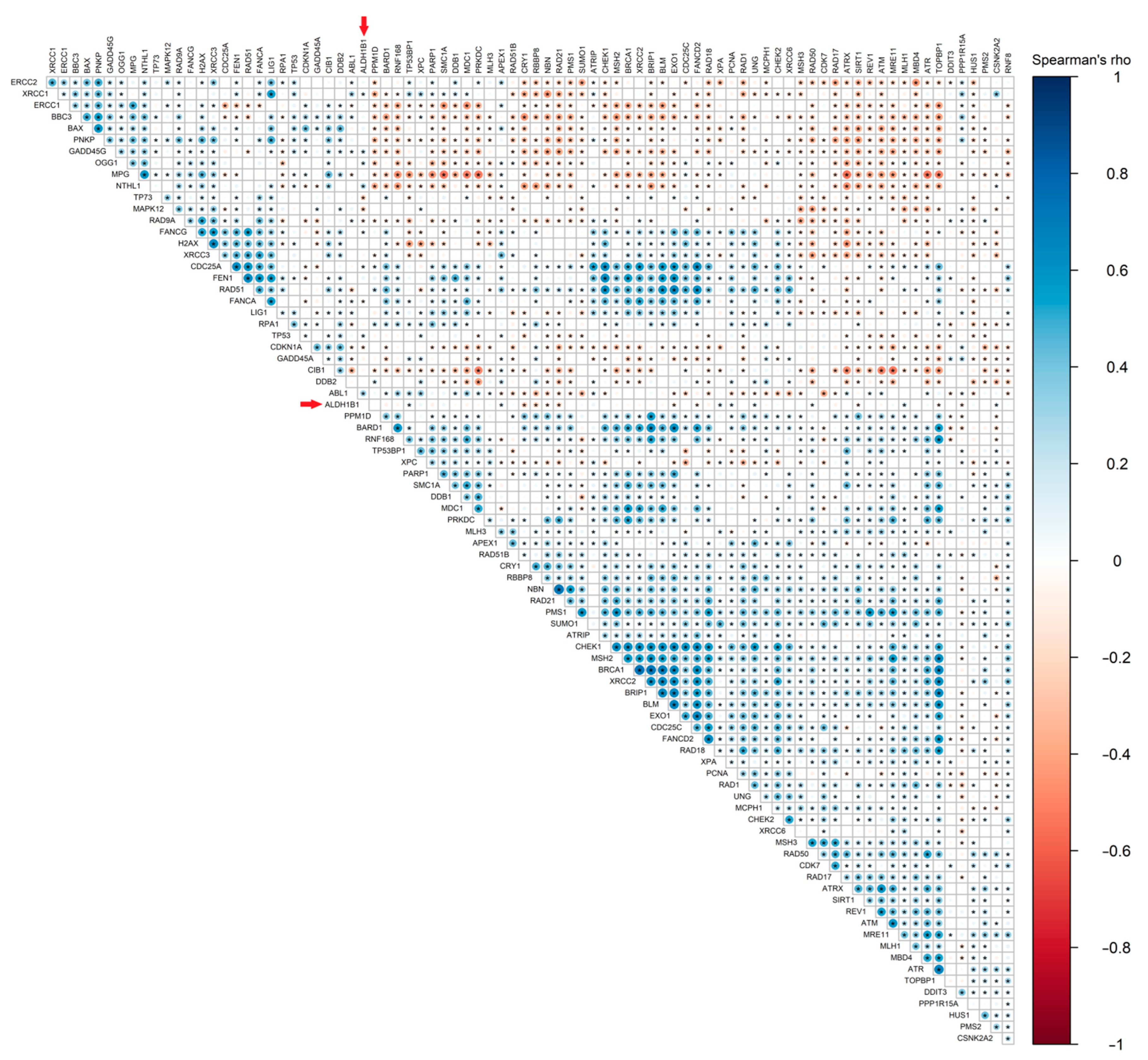 Cells 11 02017 g006 Cells 11 02017 g006