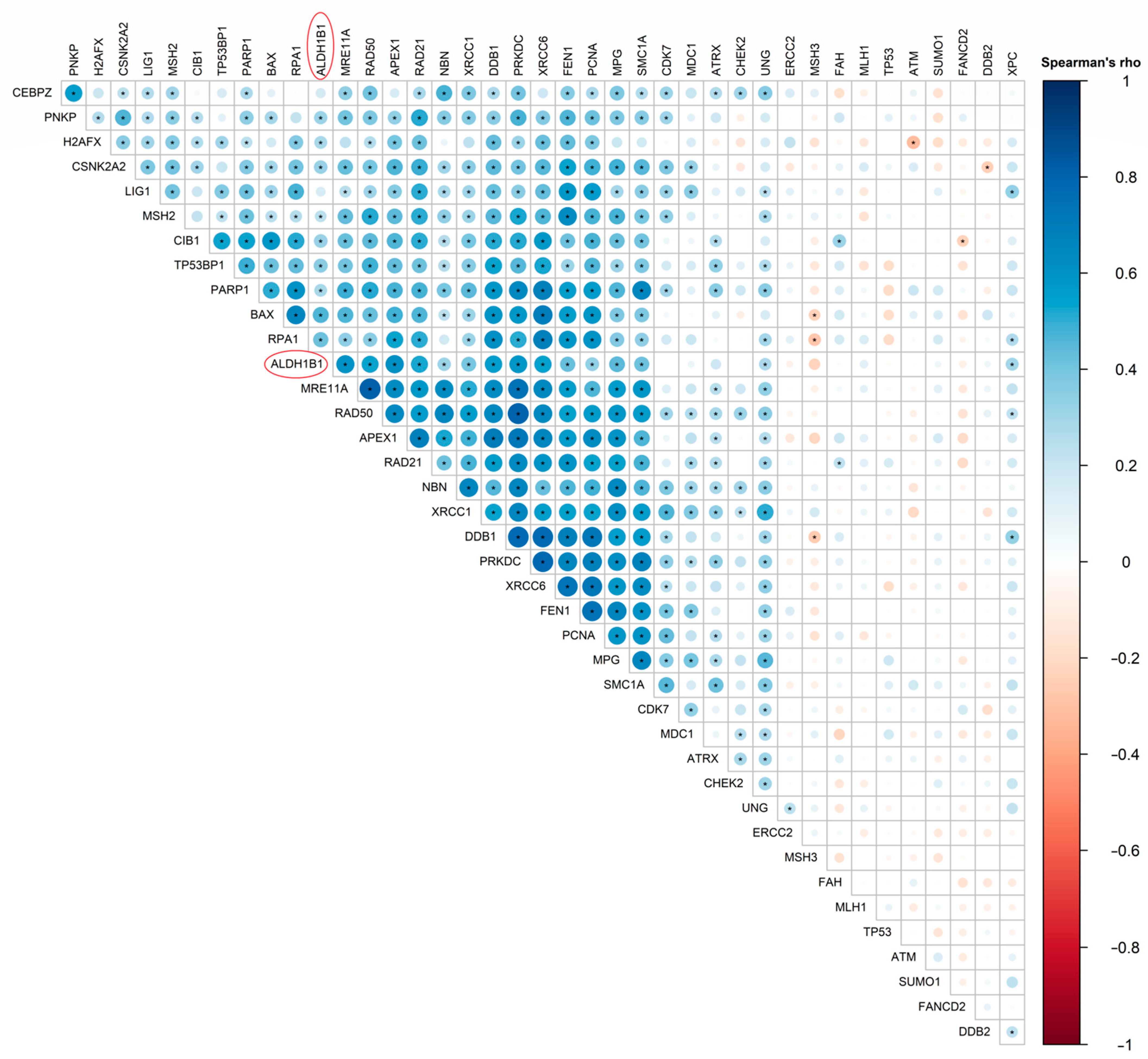 Cells 11 02017 g007 Cells 11 02017 g007