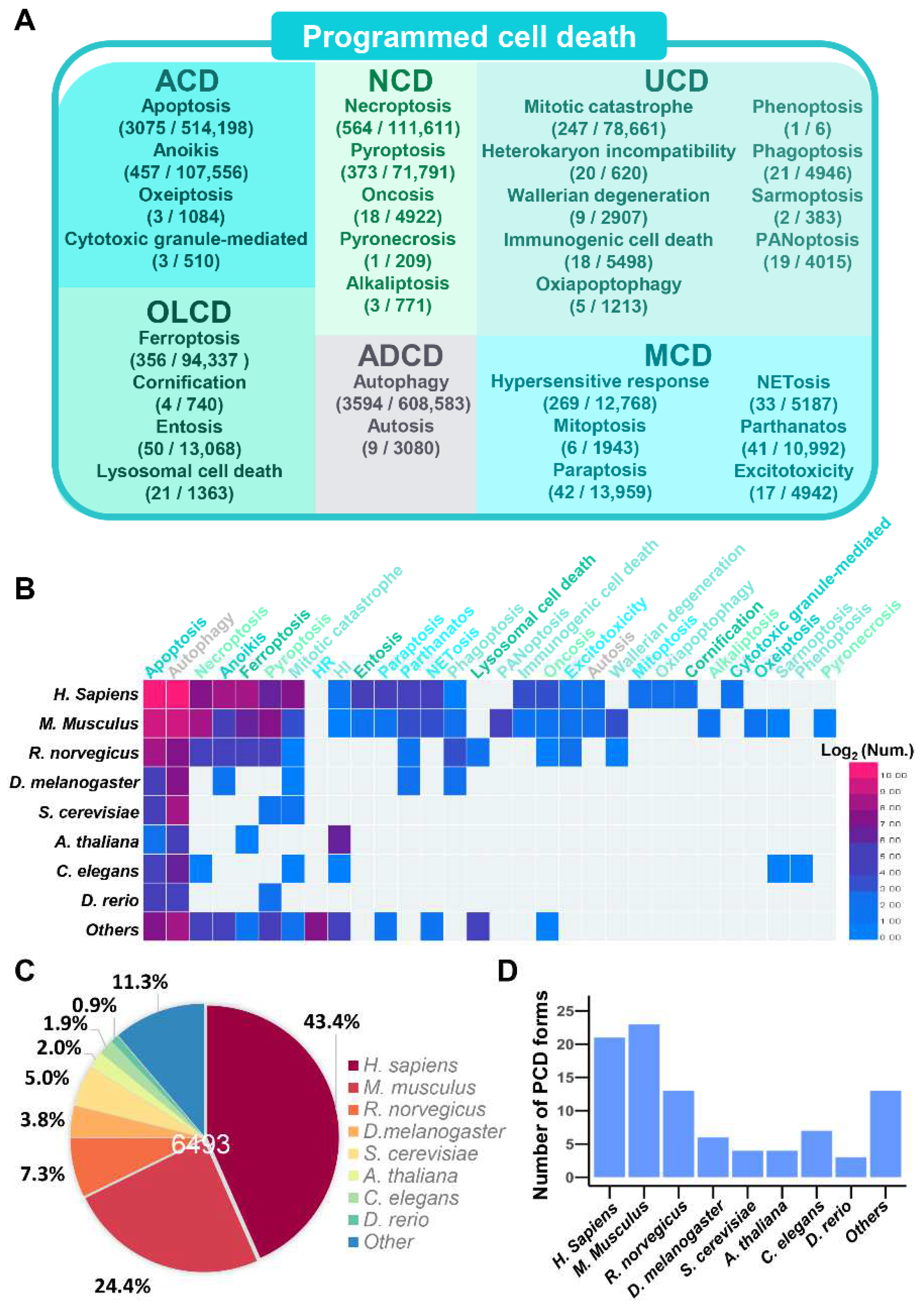 Cells 11 02018 g002 Cells 11 02018 g002
