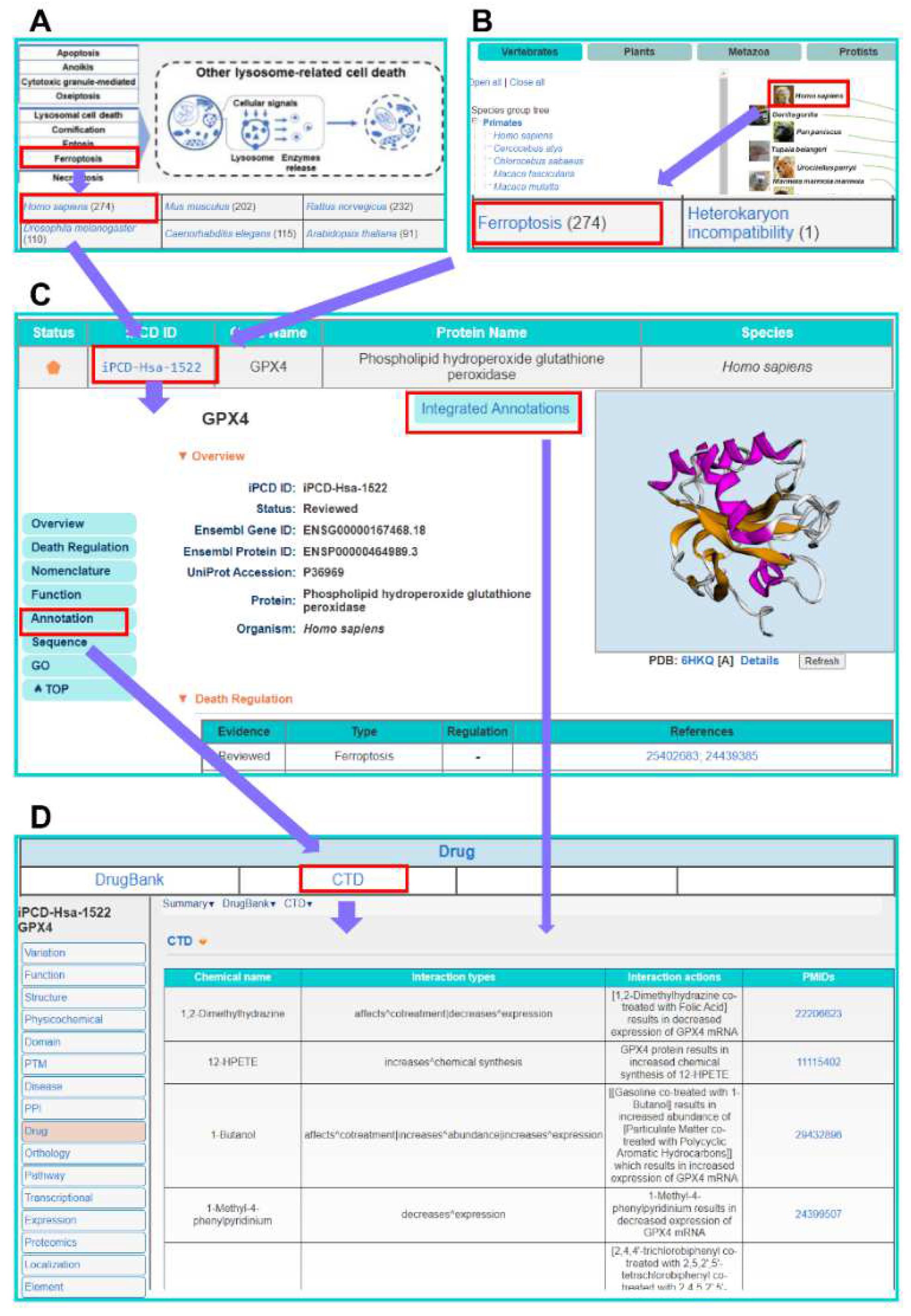 Cells 11 02018 g004 Cells 11 02018 g004