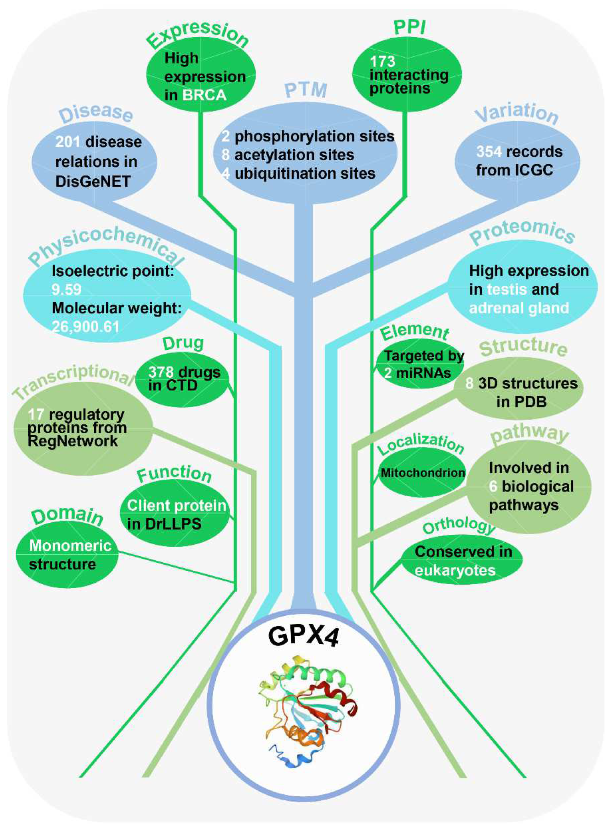 Cells 11 02018 g005 Cells 11 02018 g005