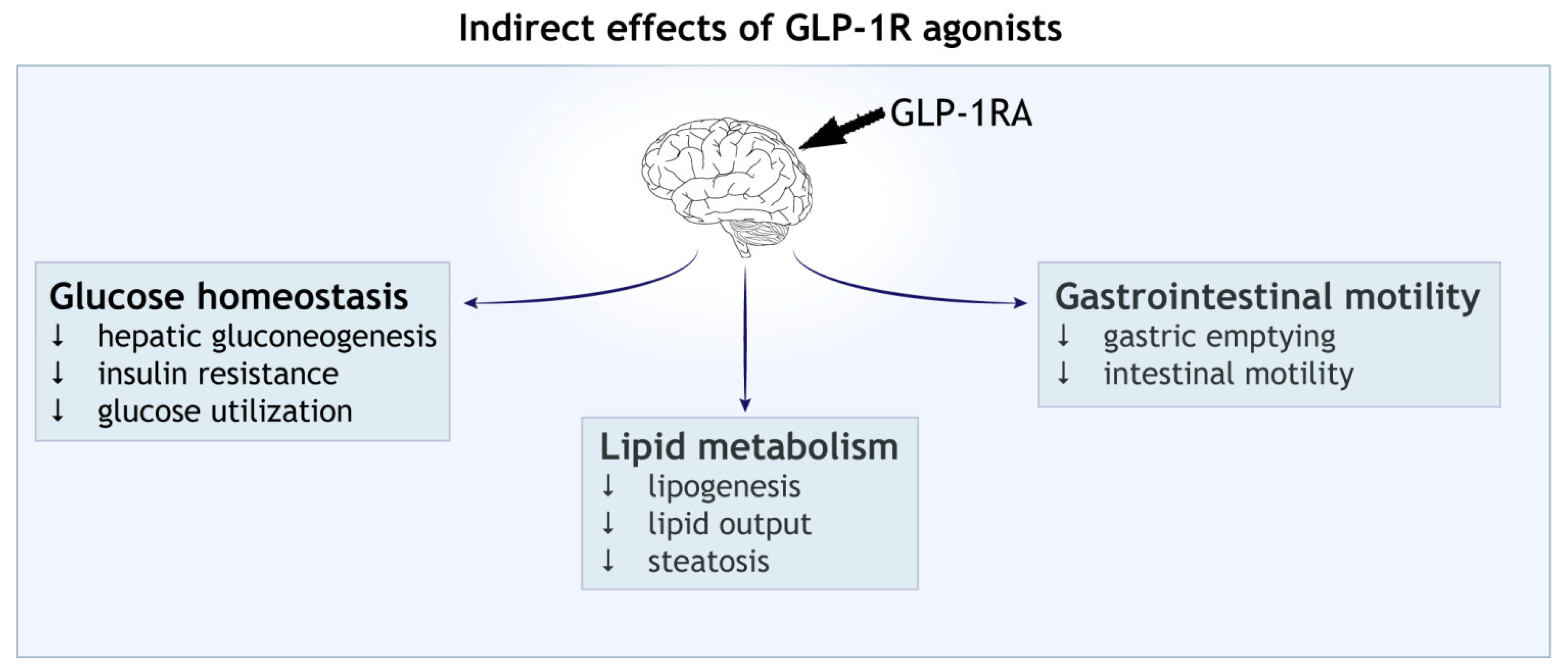 Cells | Free Full-Text | GLP-1 Receptor Agonists in Neurodegeneration