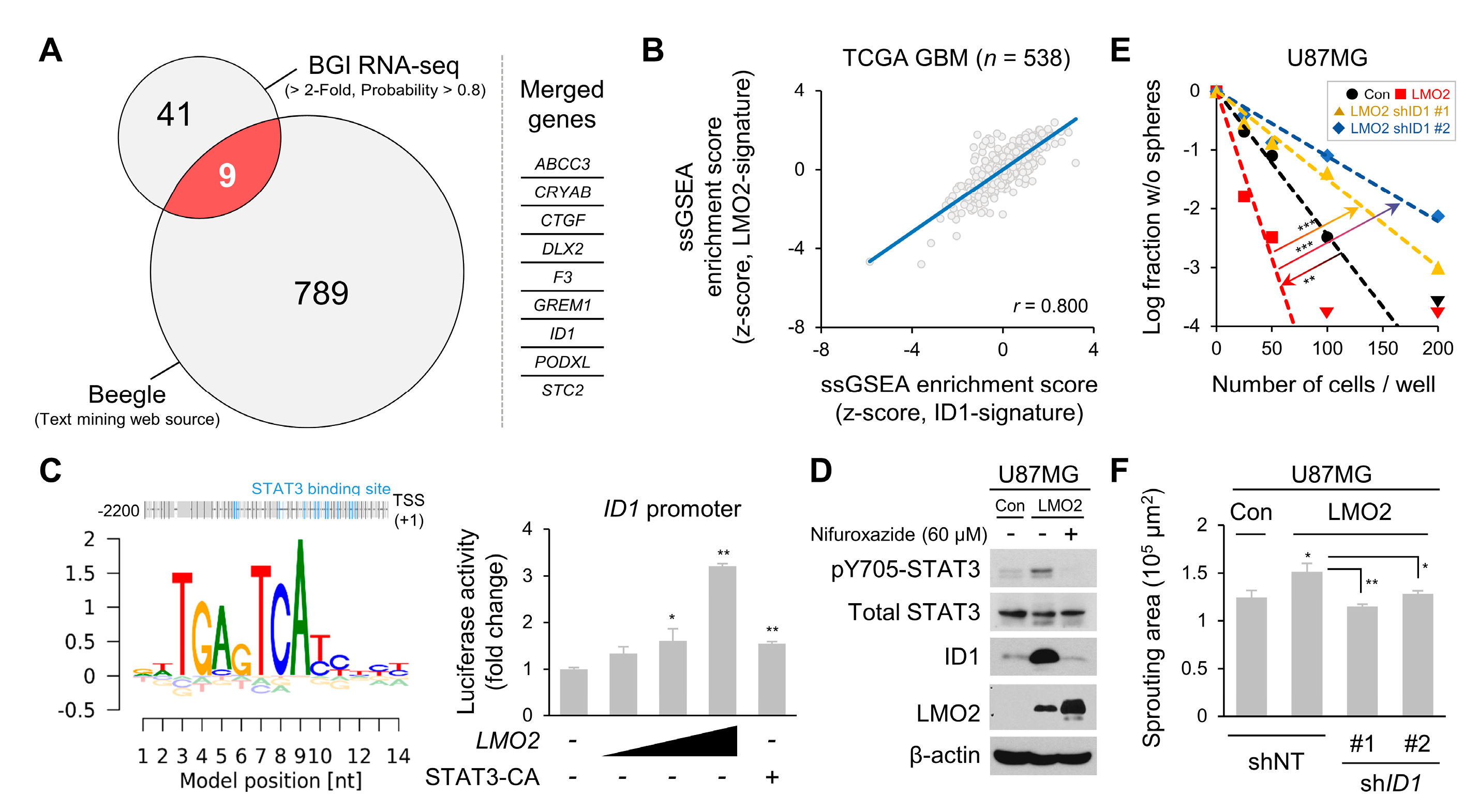 Cells 11 02031 g004 Cells 11 02031 g004