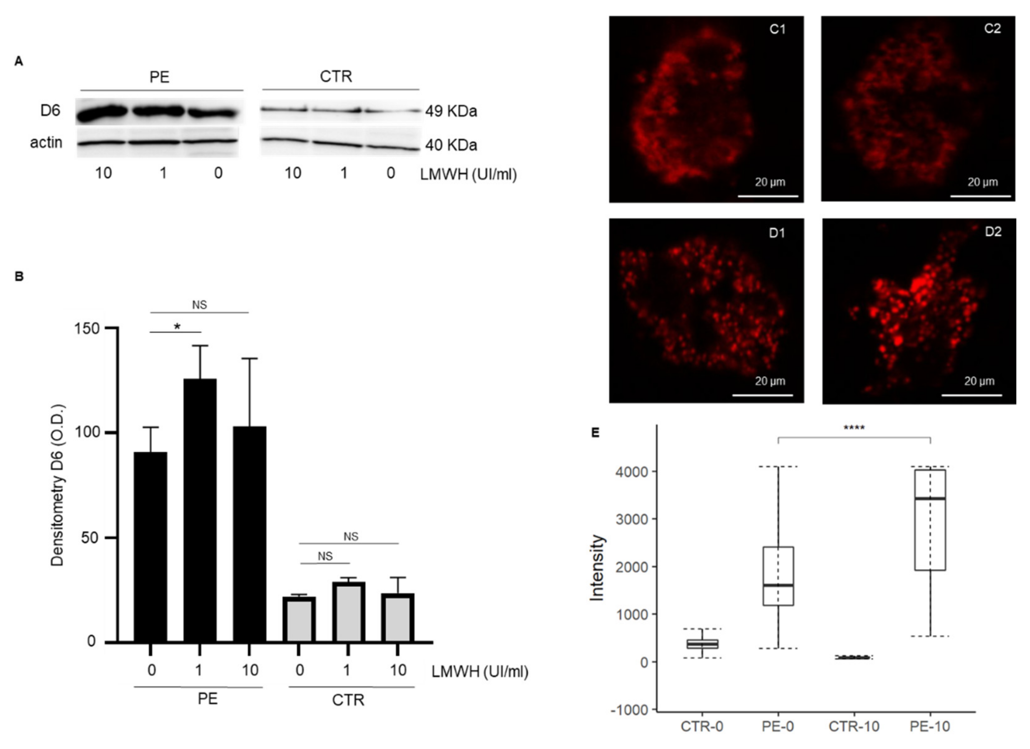 Cells 11 02036 g001 Cells 11 02036 g001