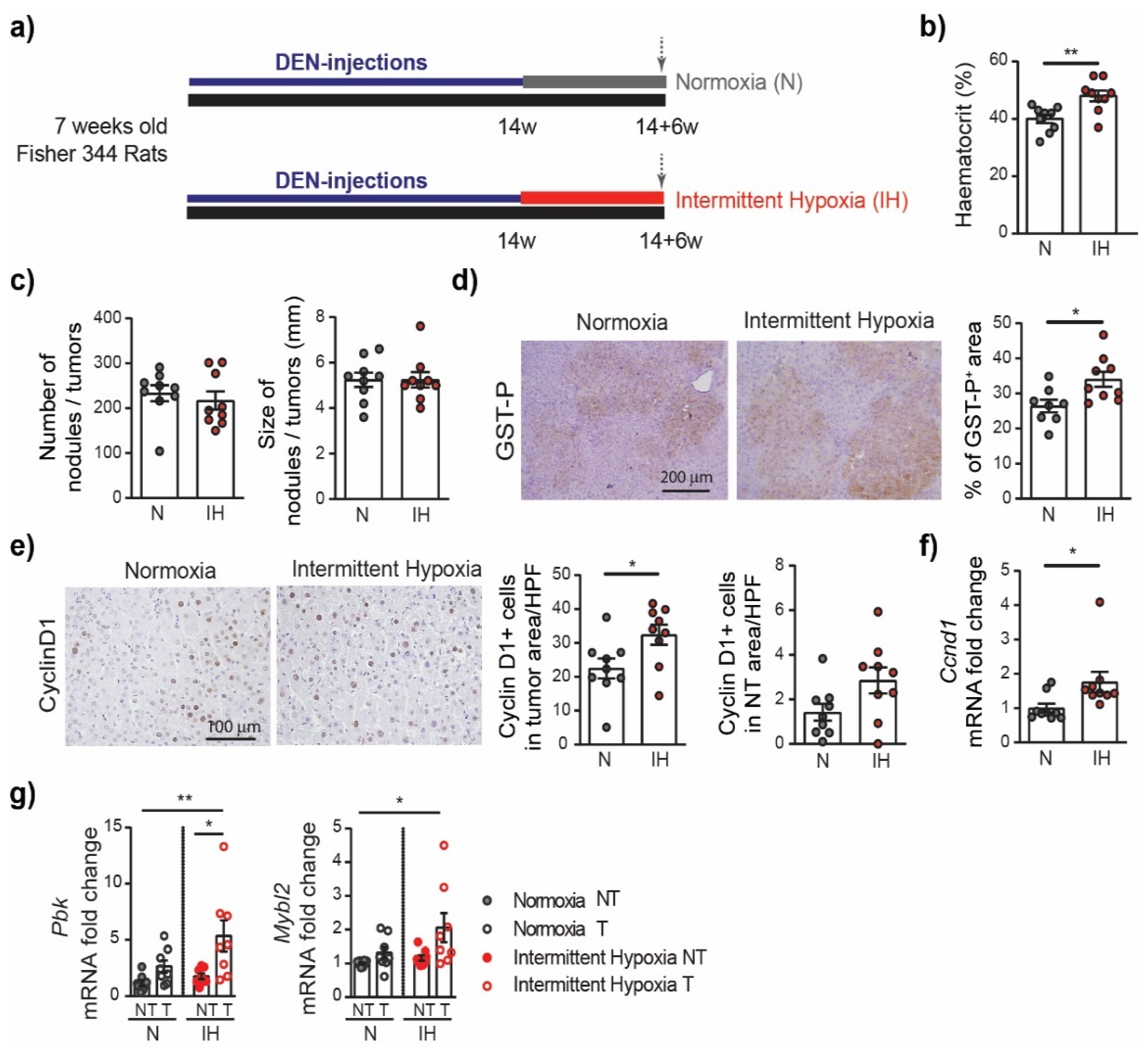 Cells 11 02051 g002 550