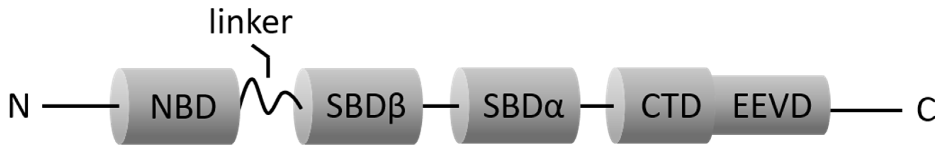 Cells 11 02052 g001 550