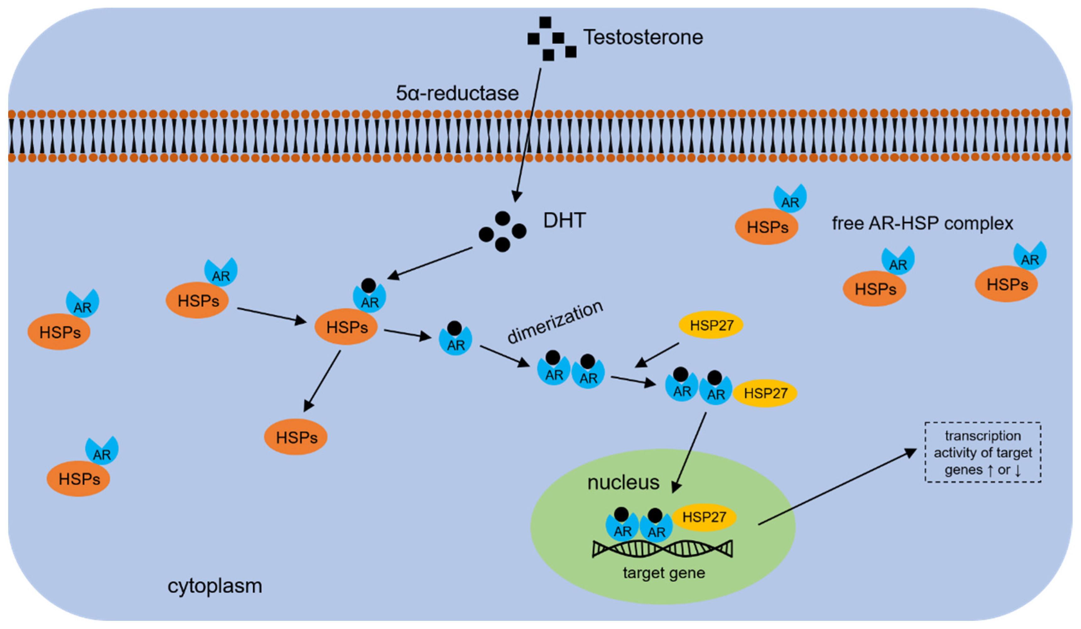Cells 11 02052 g002 550