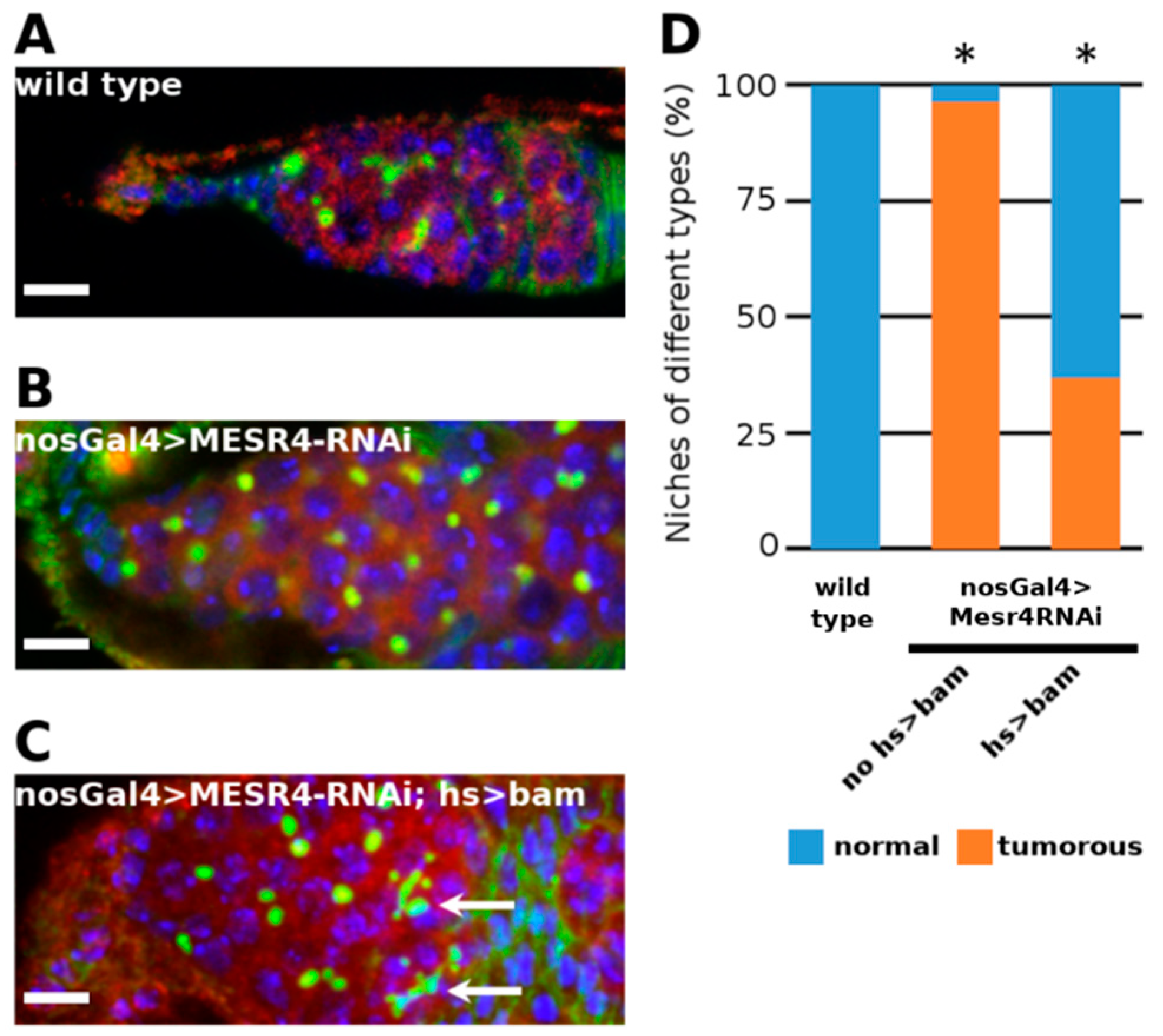 Cells 11 02056 g003 Cells 11 02056 g003